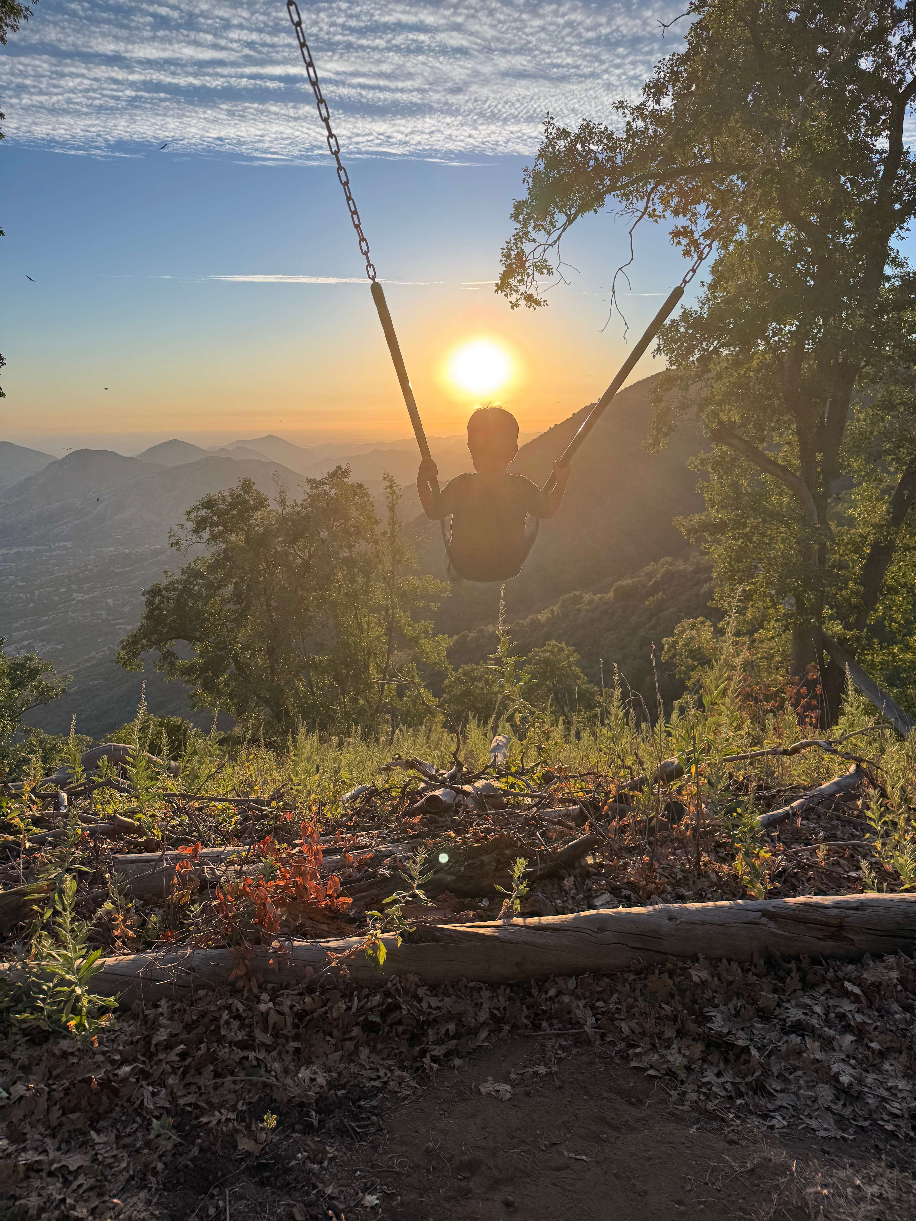 Sunset swing