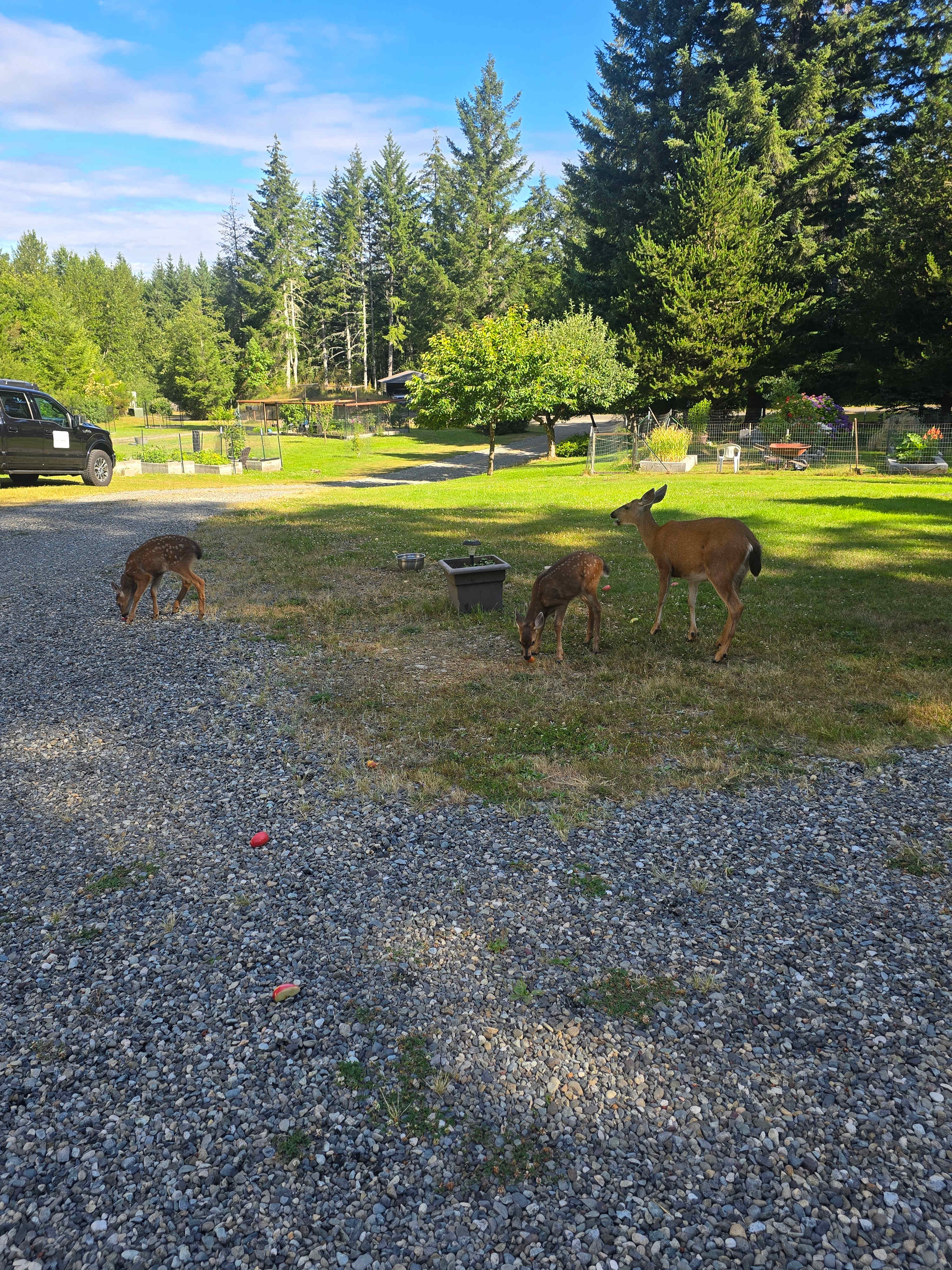 Peaceful Olympic Peninsula RV Sites