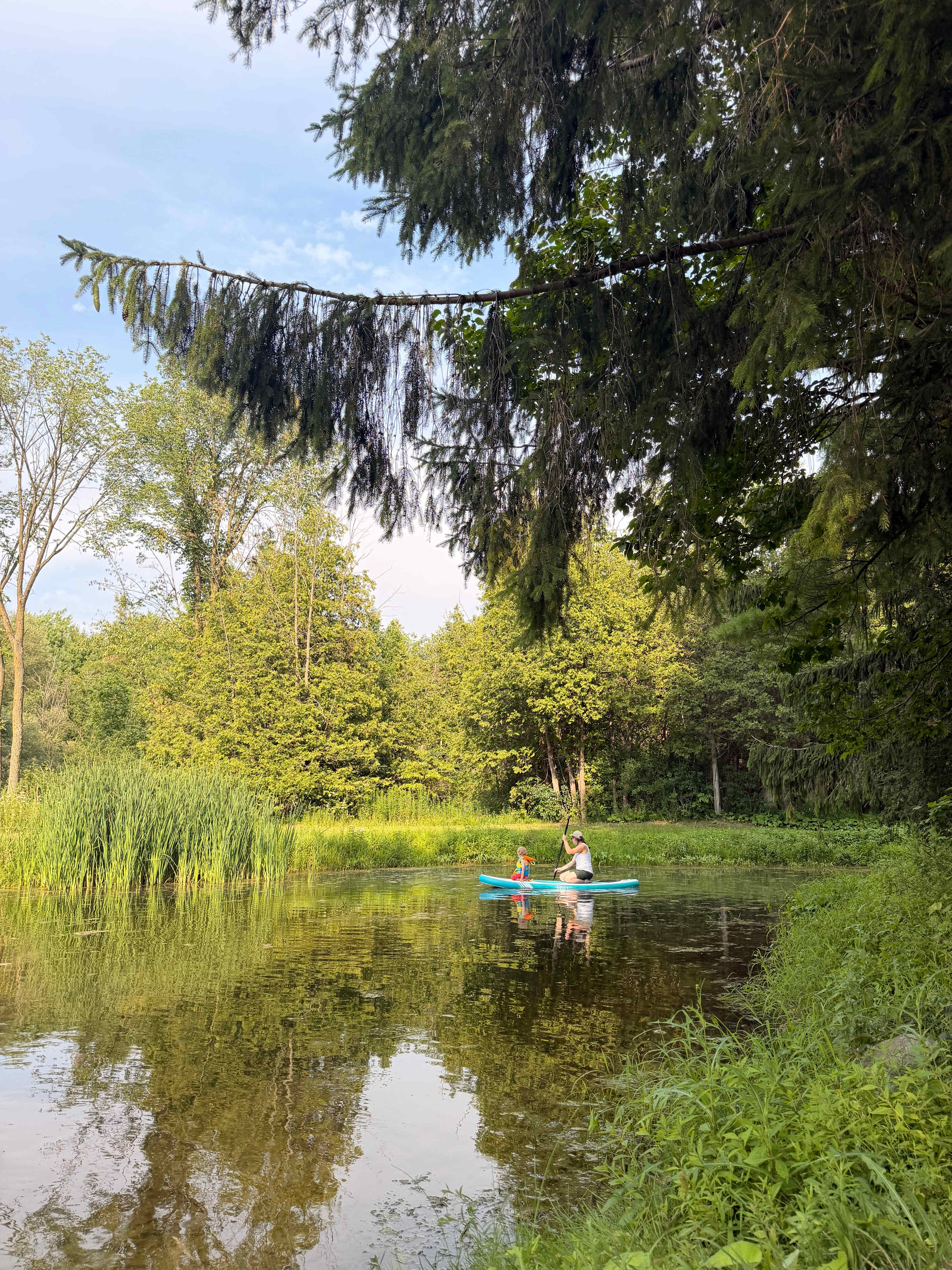 Hidden Oasis Near Elora