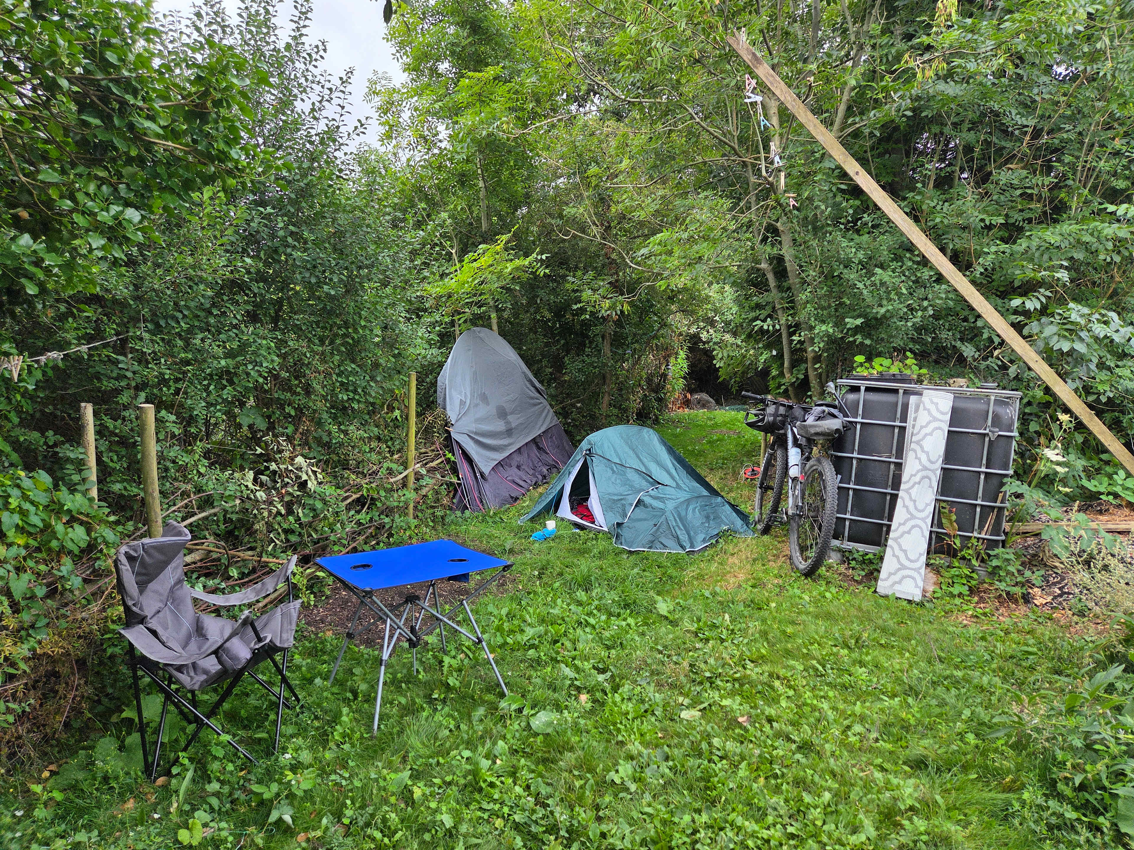 Forest Garden Camp Spot Cardiff