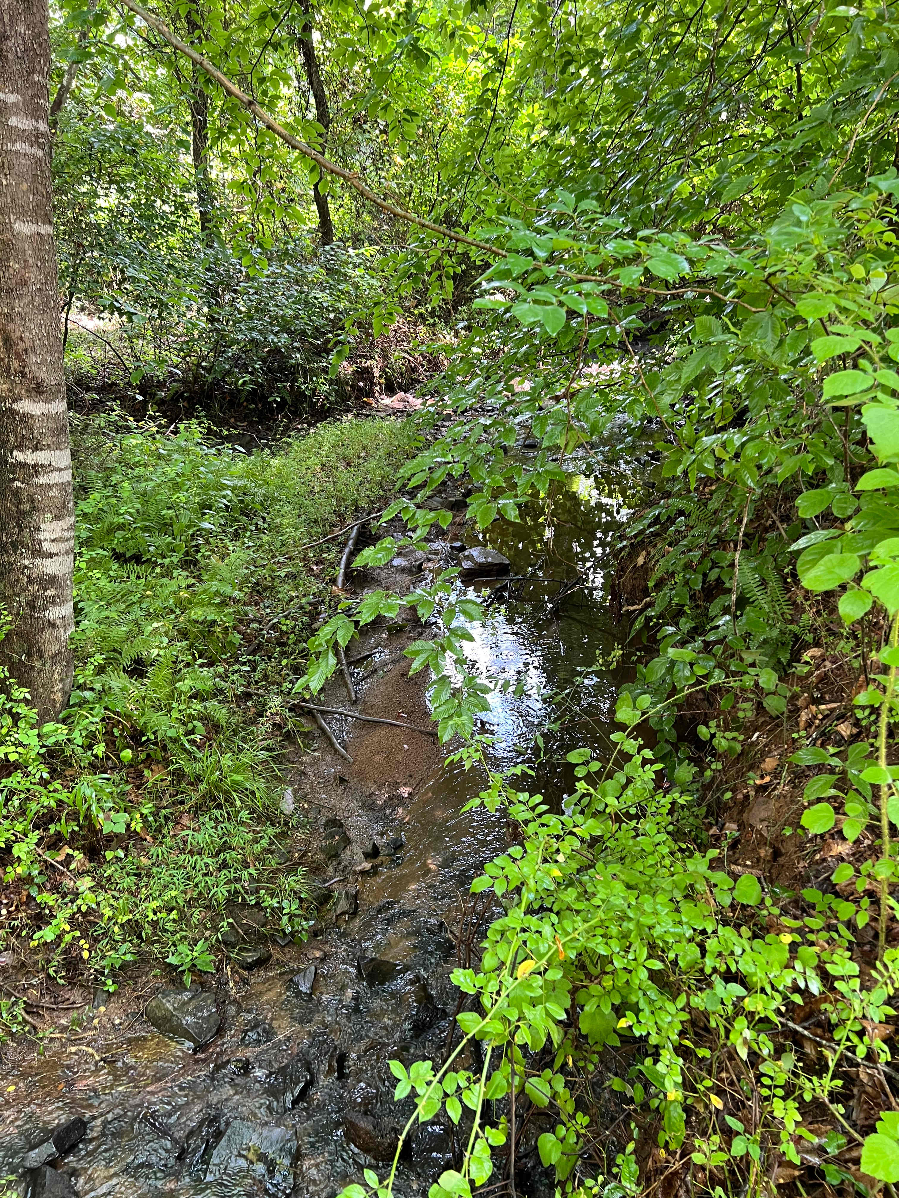 Waller Farm on Peter’s Creek