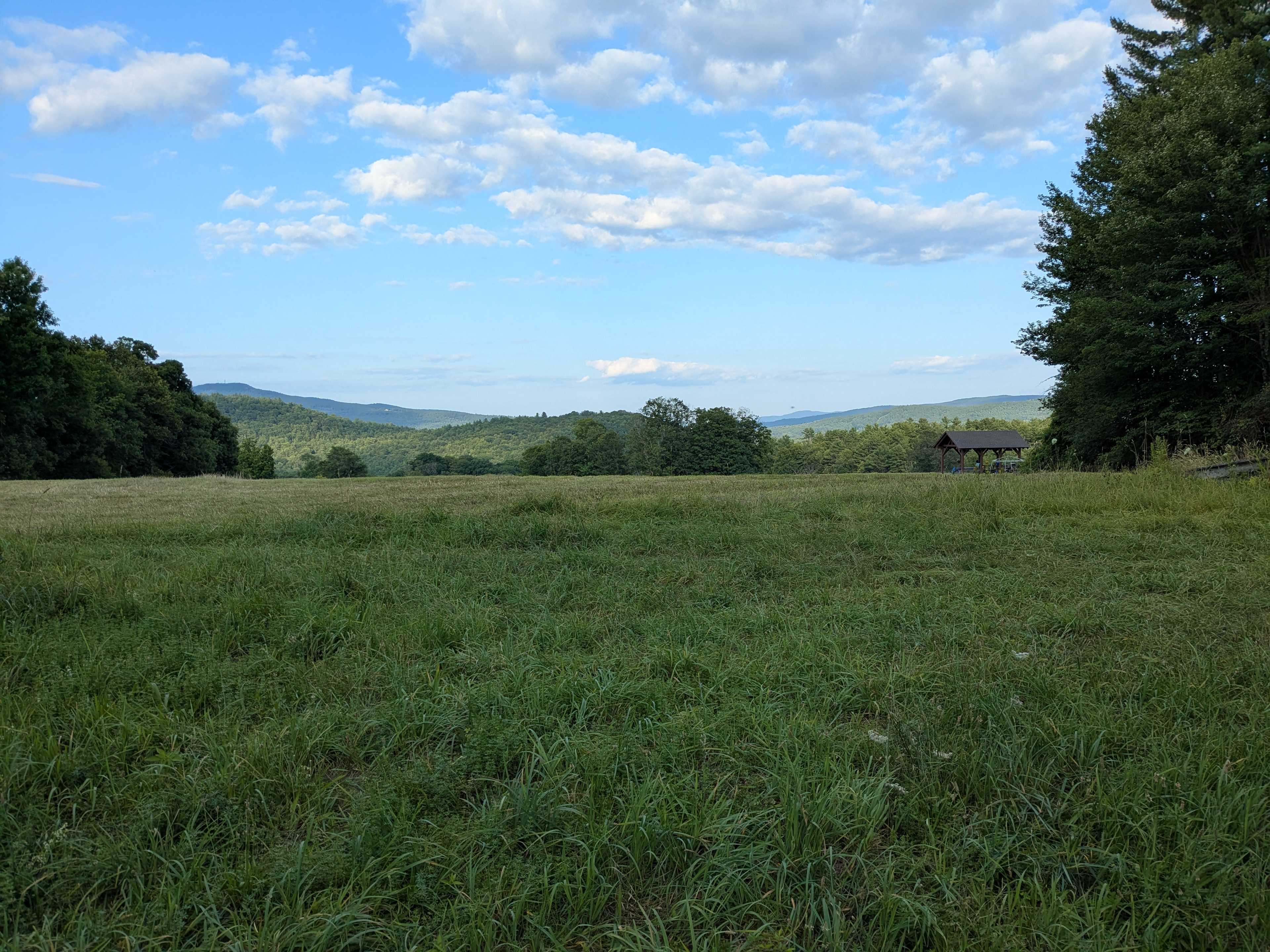Dancing Bear Farm