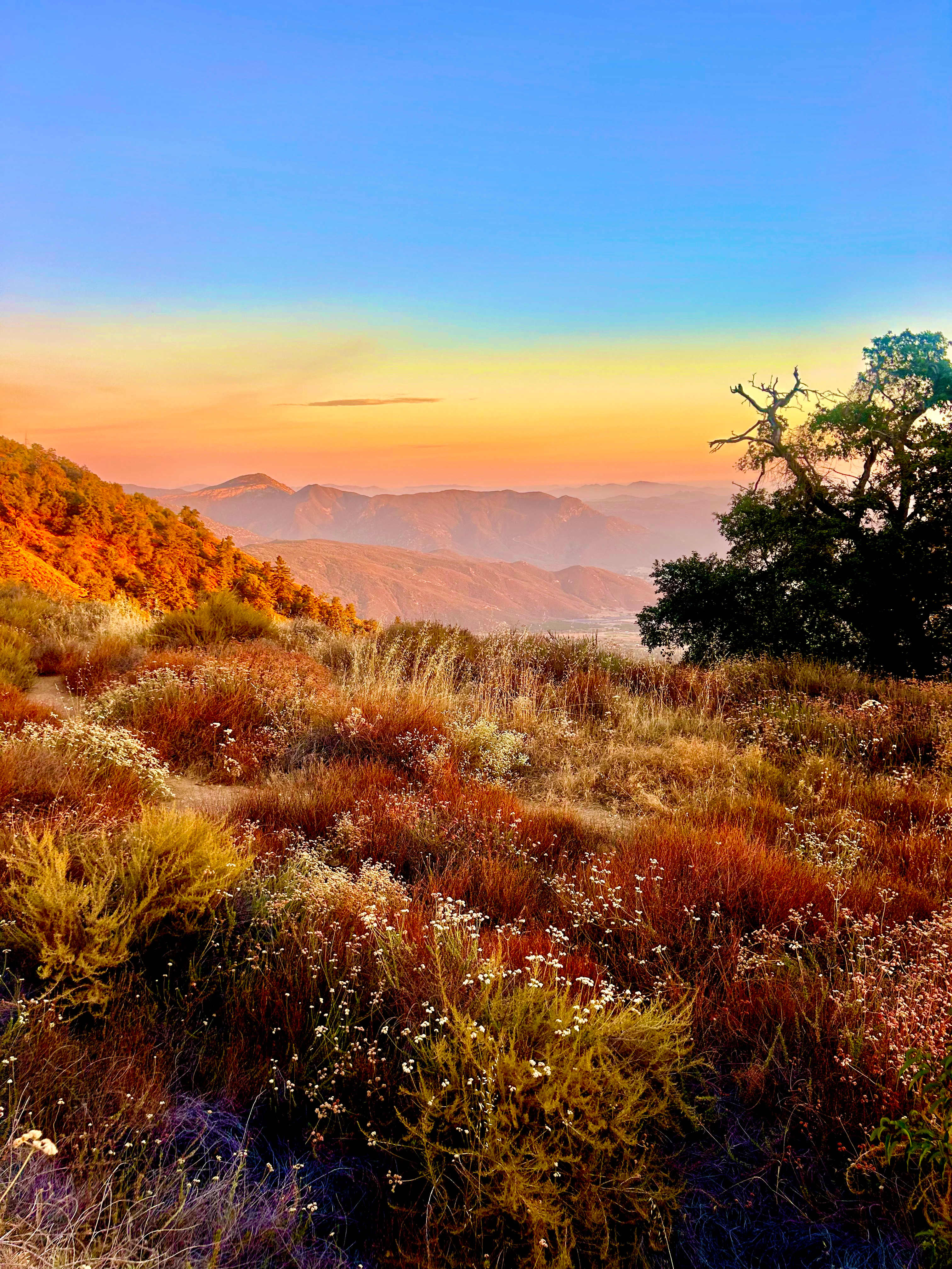 Magical Harrison Serenity Ranch