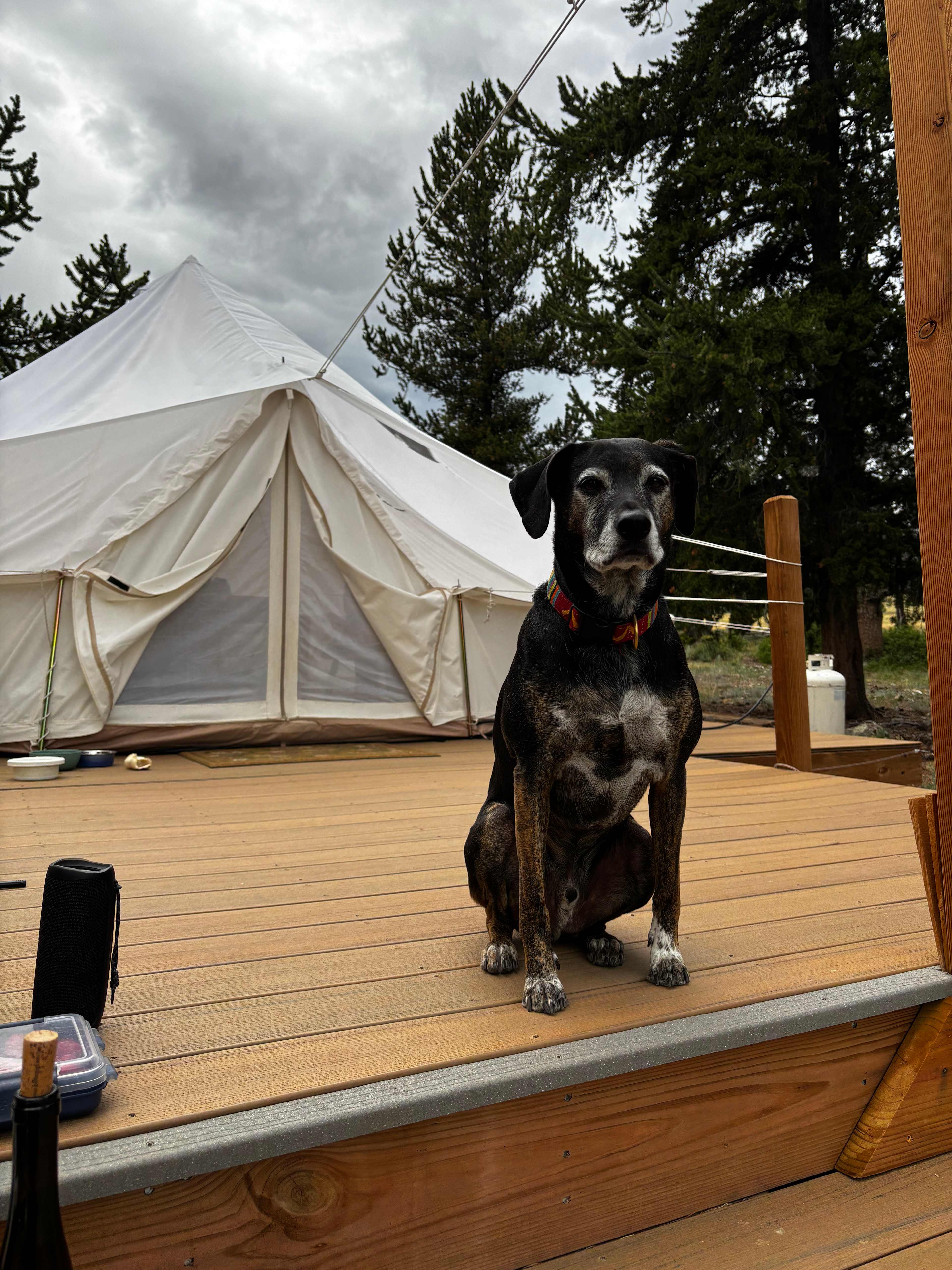 Whispering Pines Glamping