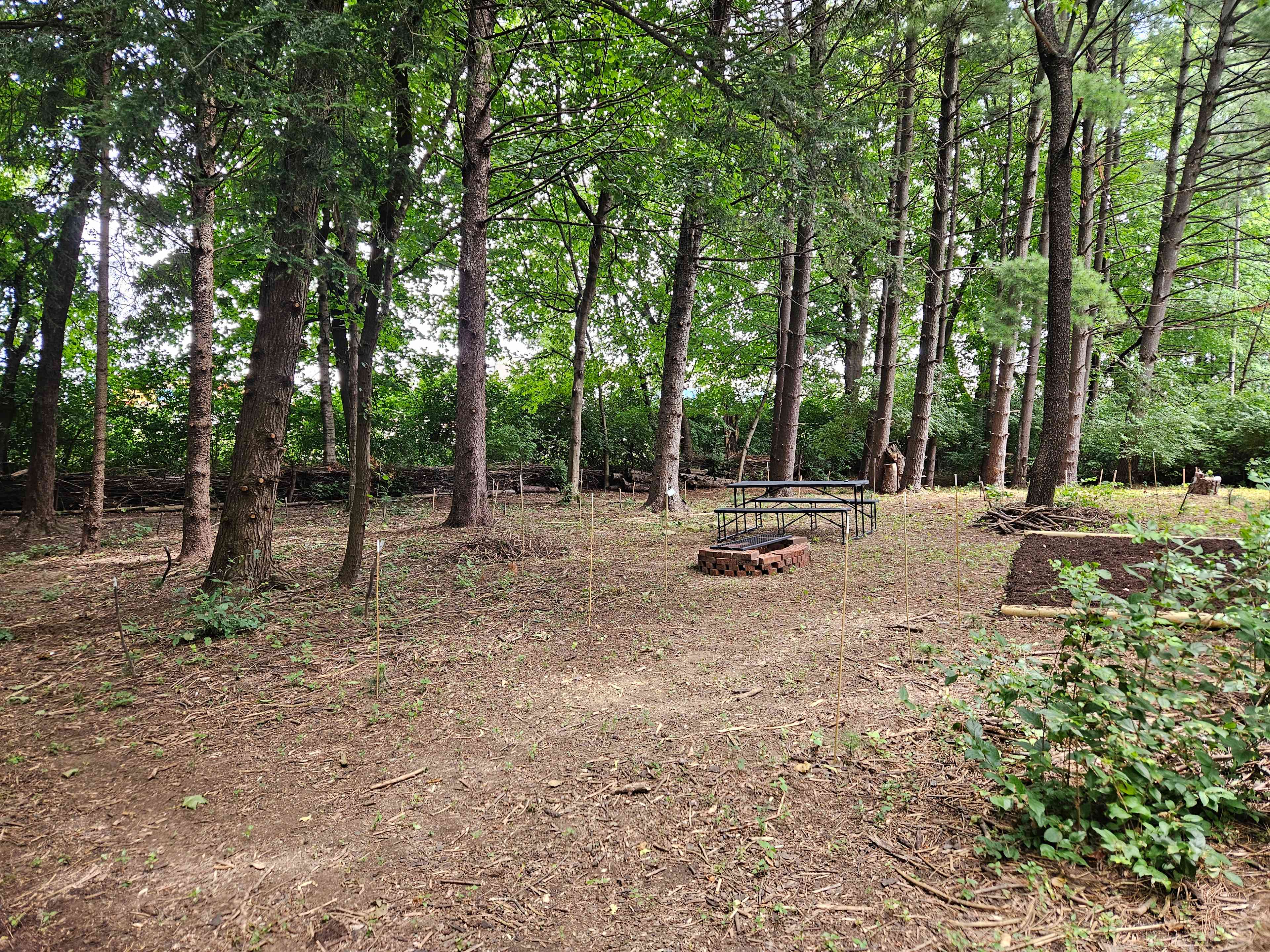 Lalu Acres