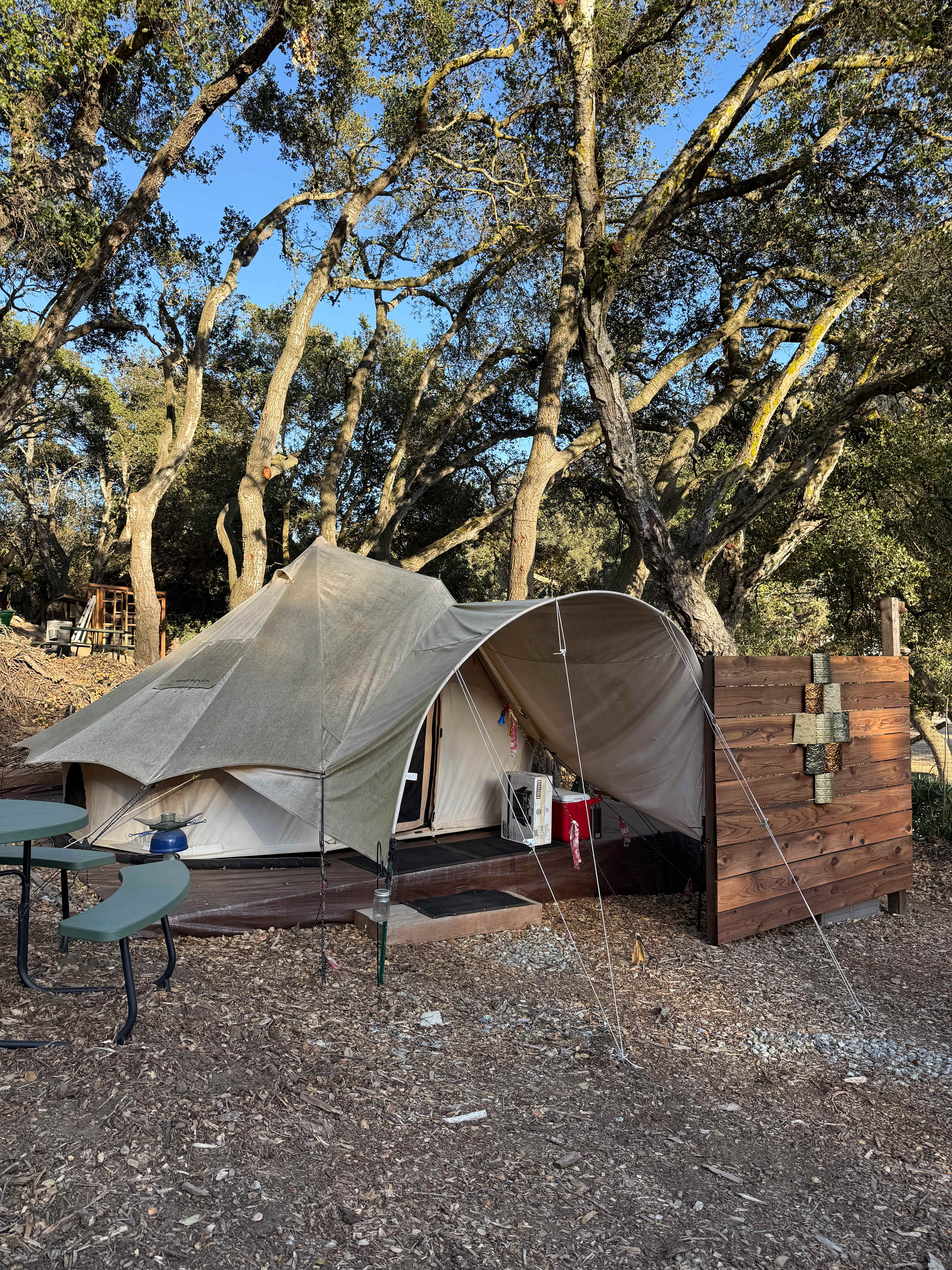 Vega Vortex-Gaia Health Retreat