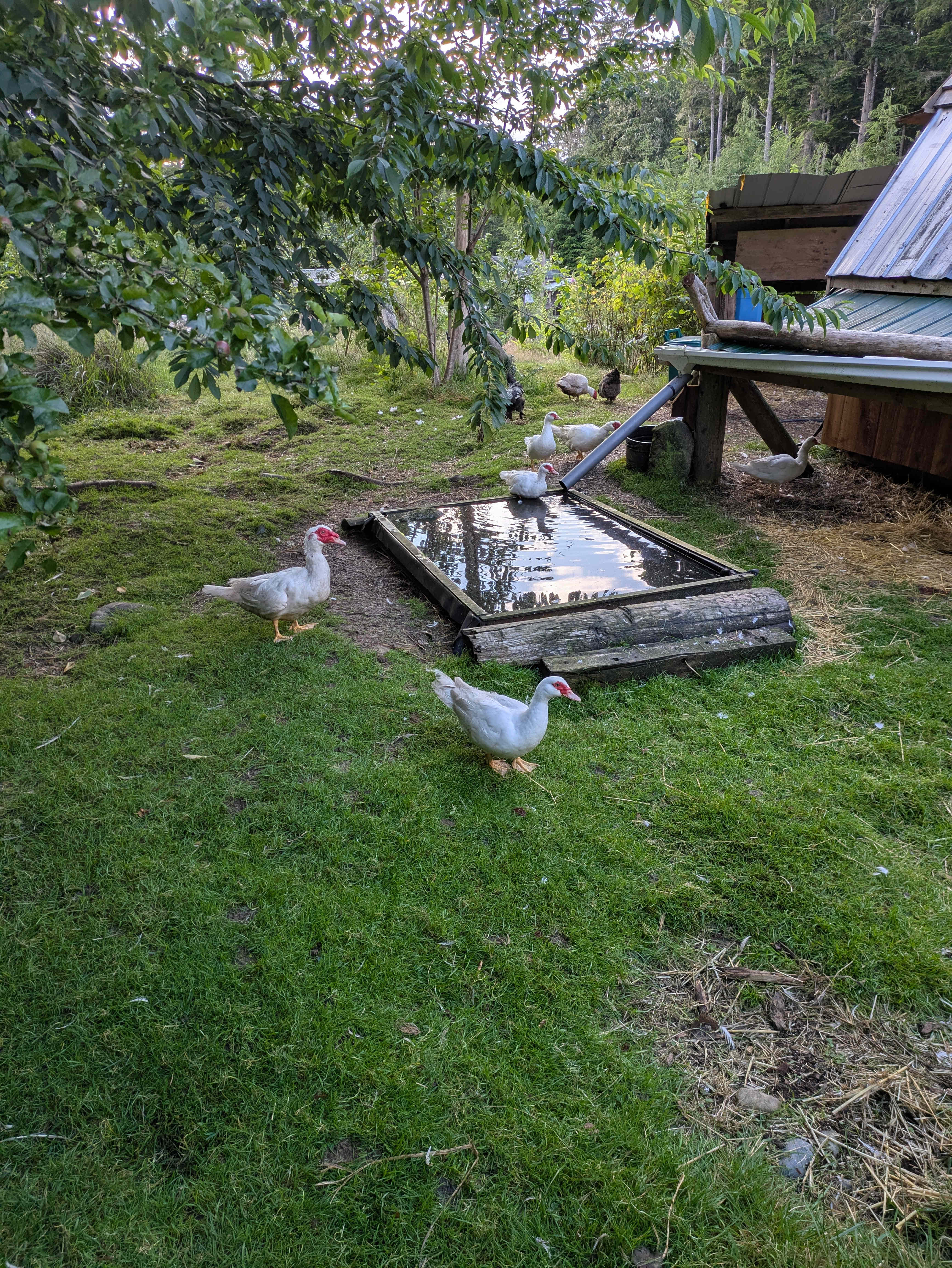 Lands End Farm and Orchard