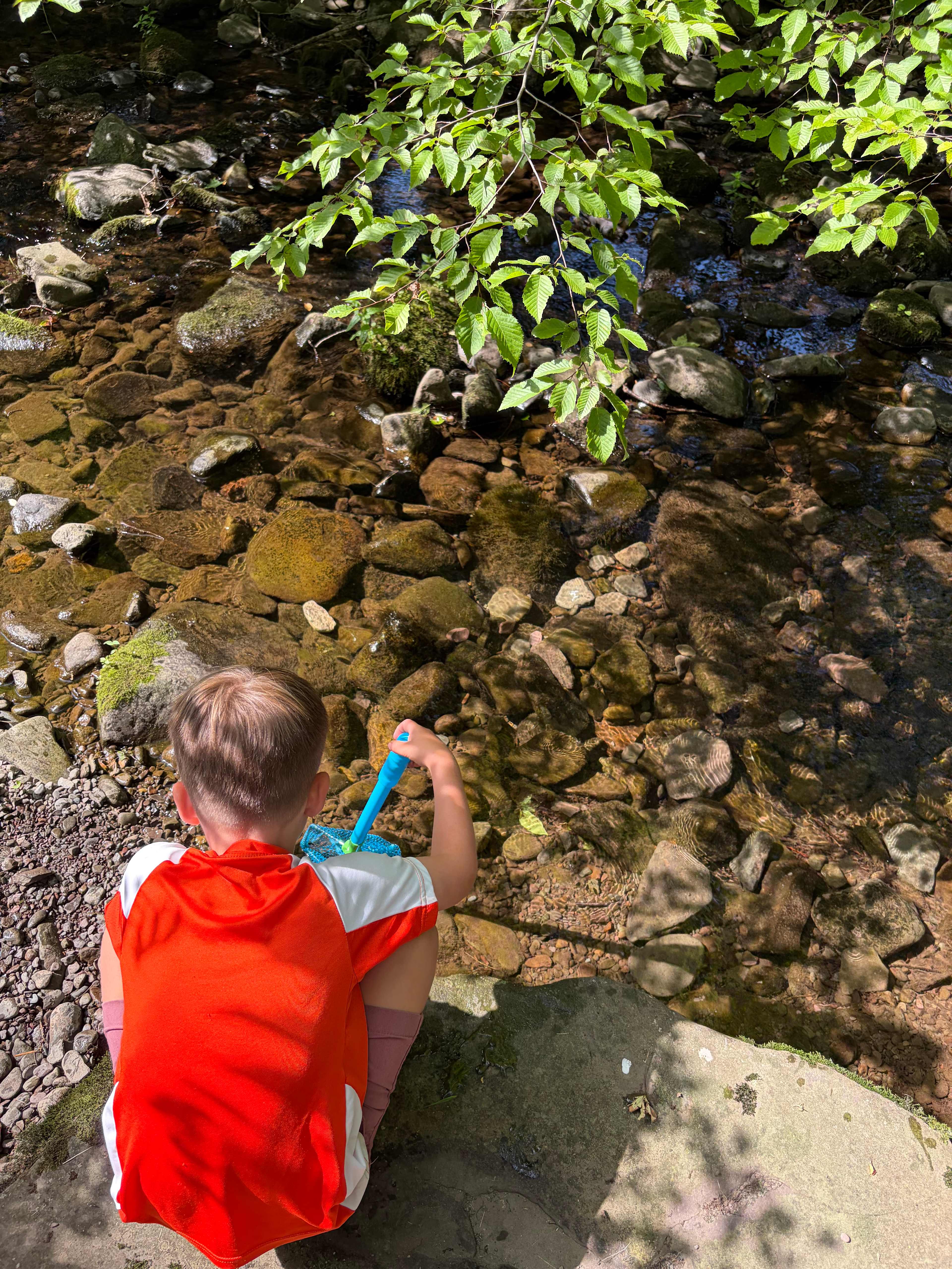 Fun in the creek!