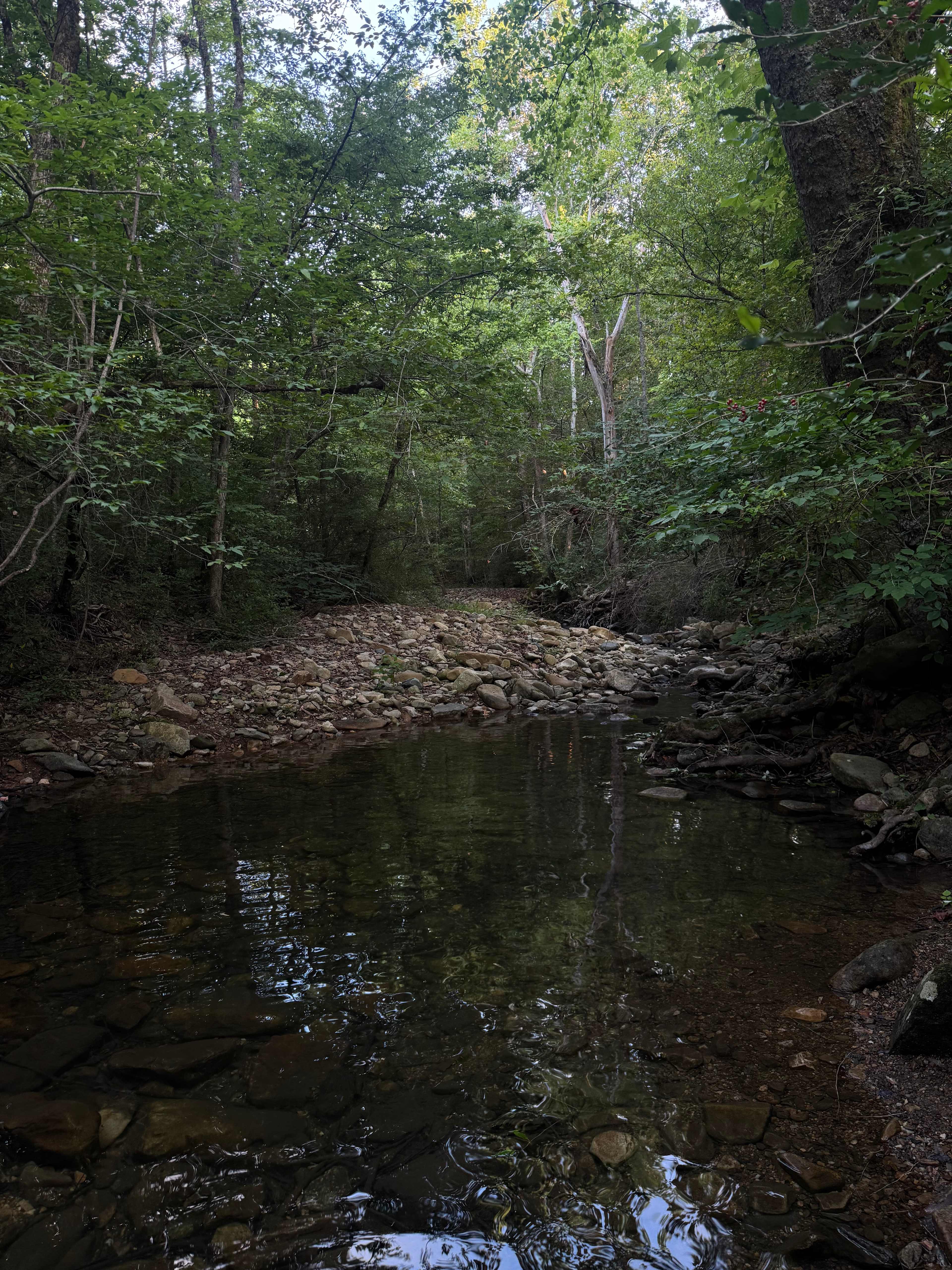 Thunder BRidge