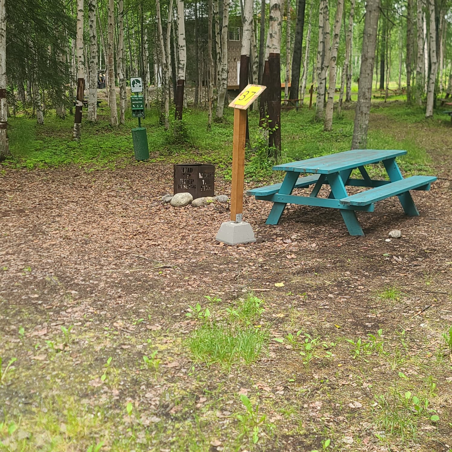 Picture of the site
