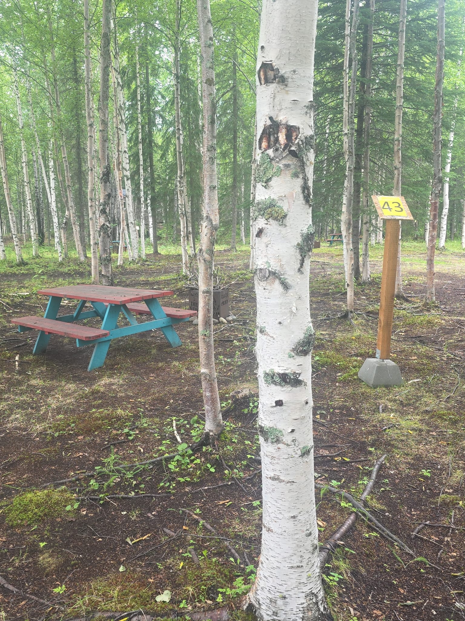 Picture of the site