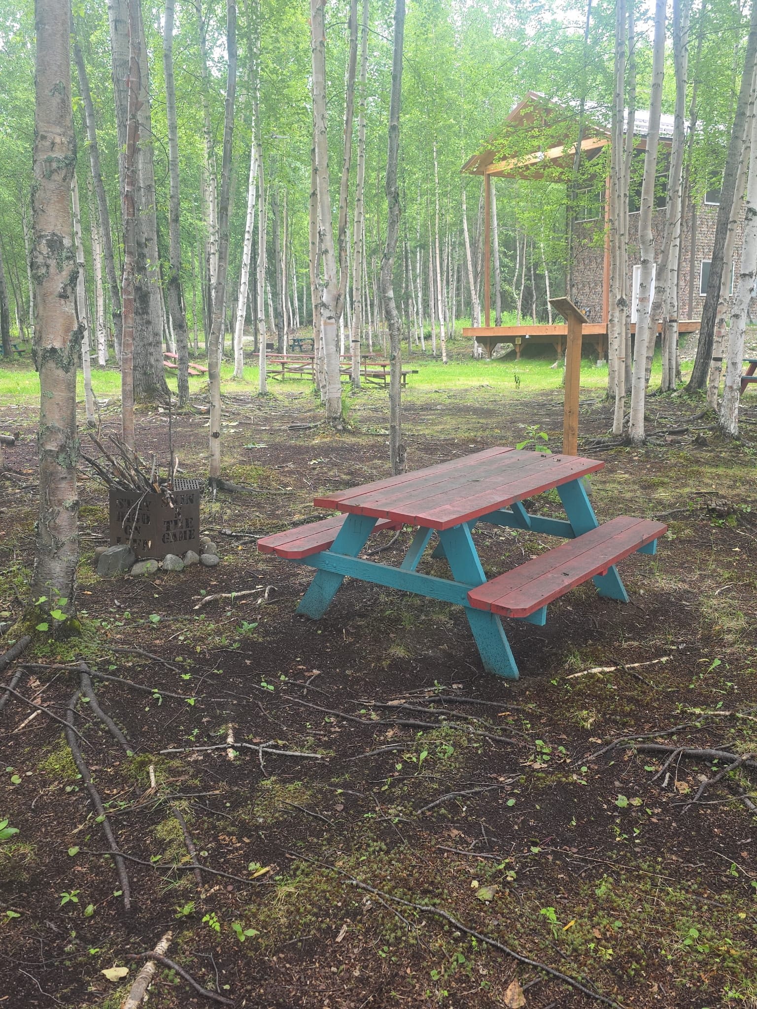 Picture of the site