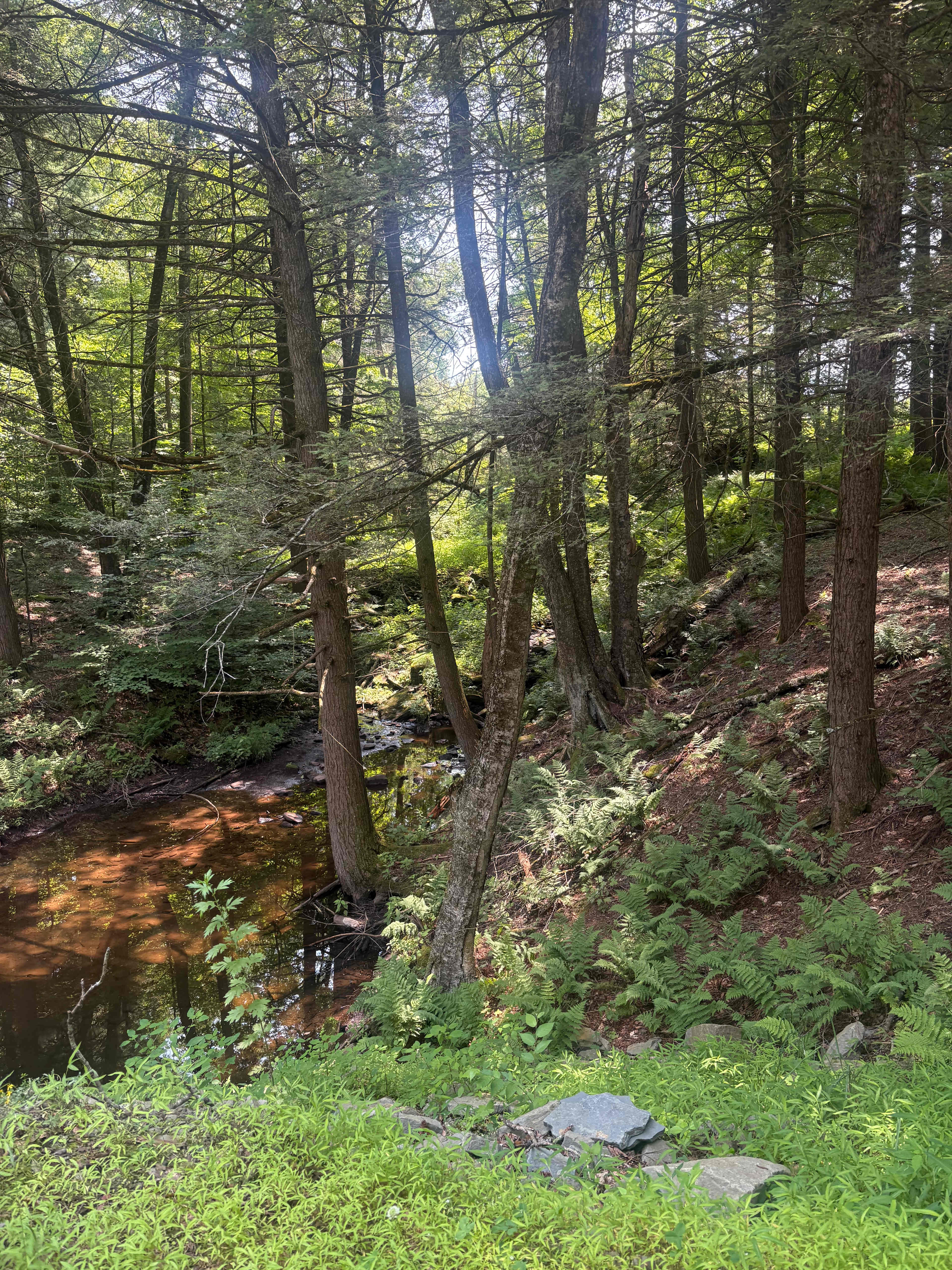 Ten Mile River: Lakeside Cabins