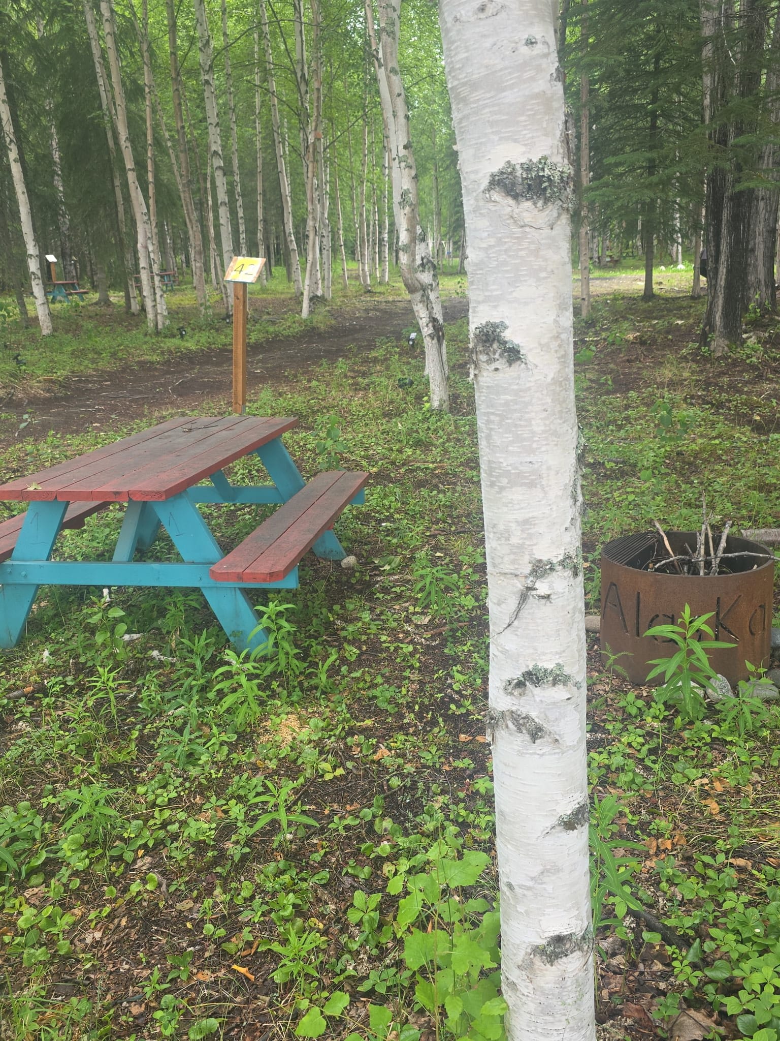 Picture of the site
