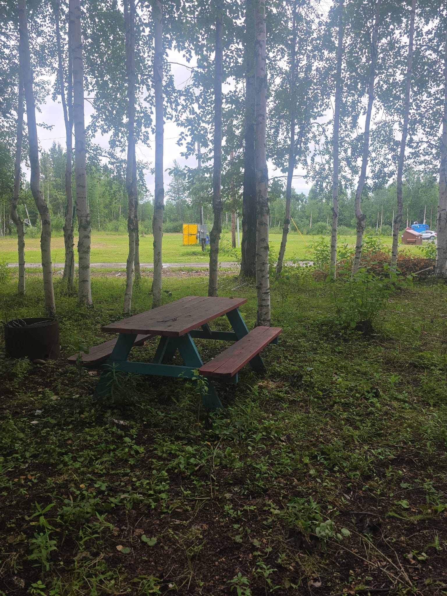 Picture of the site