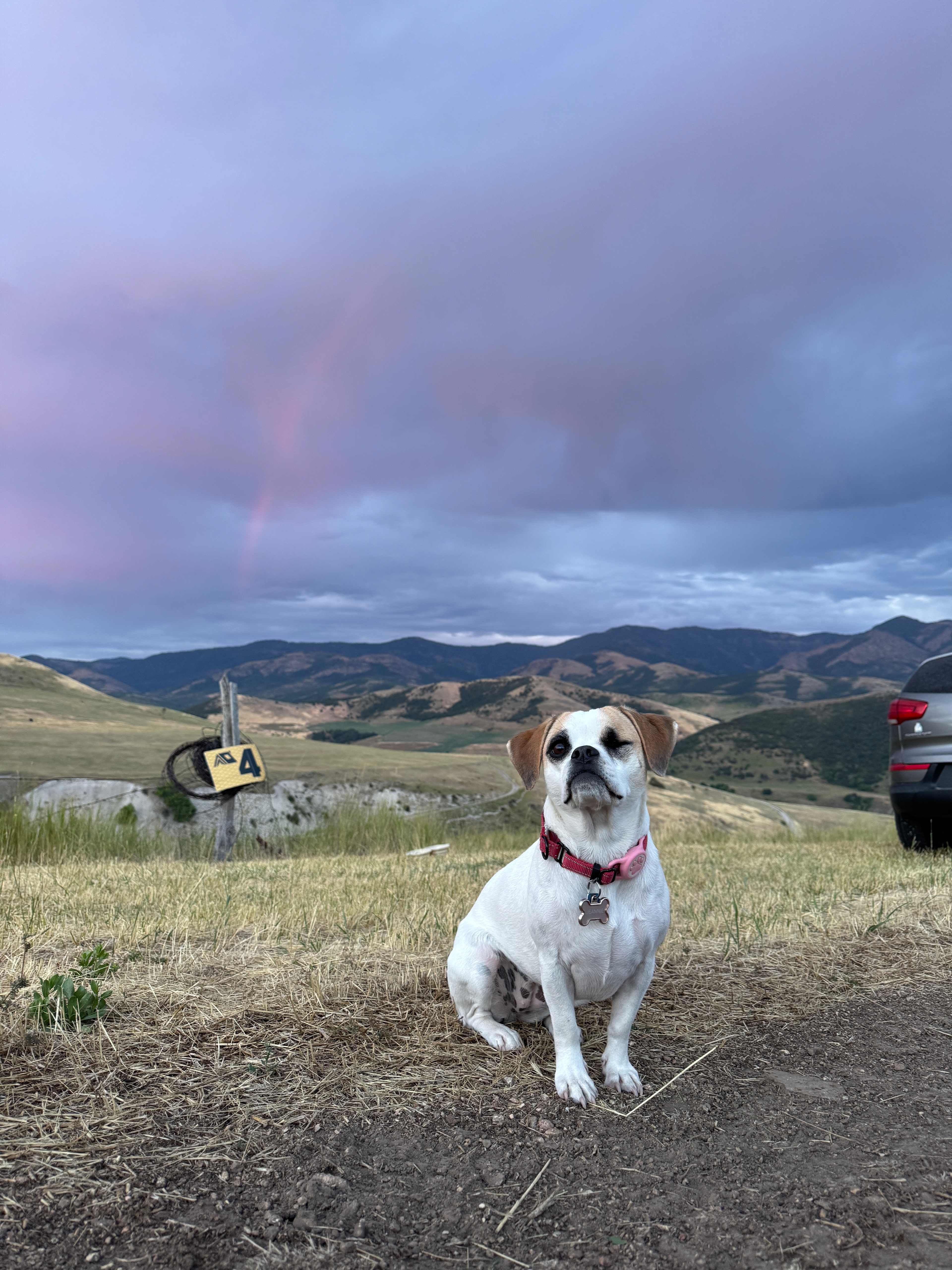 Mountain Top Getaways