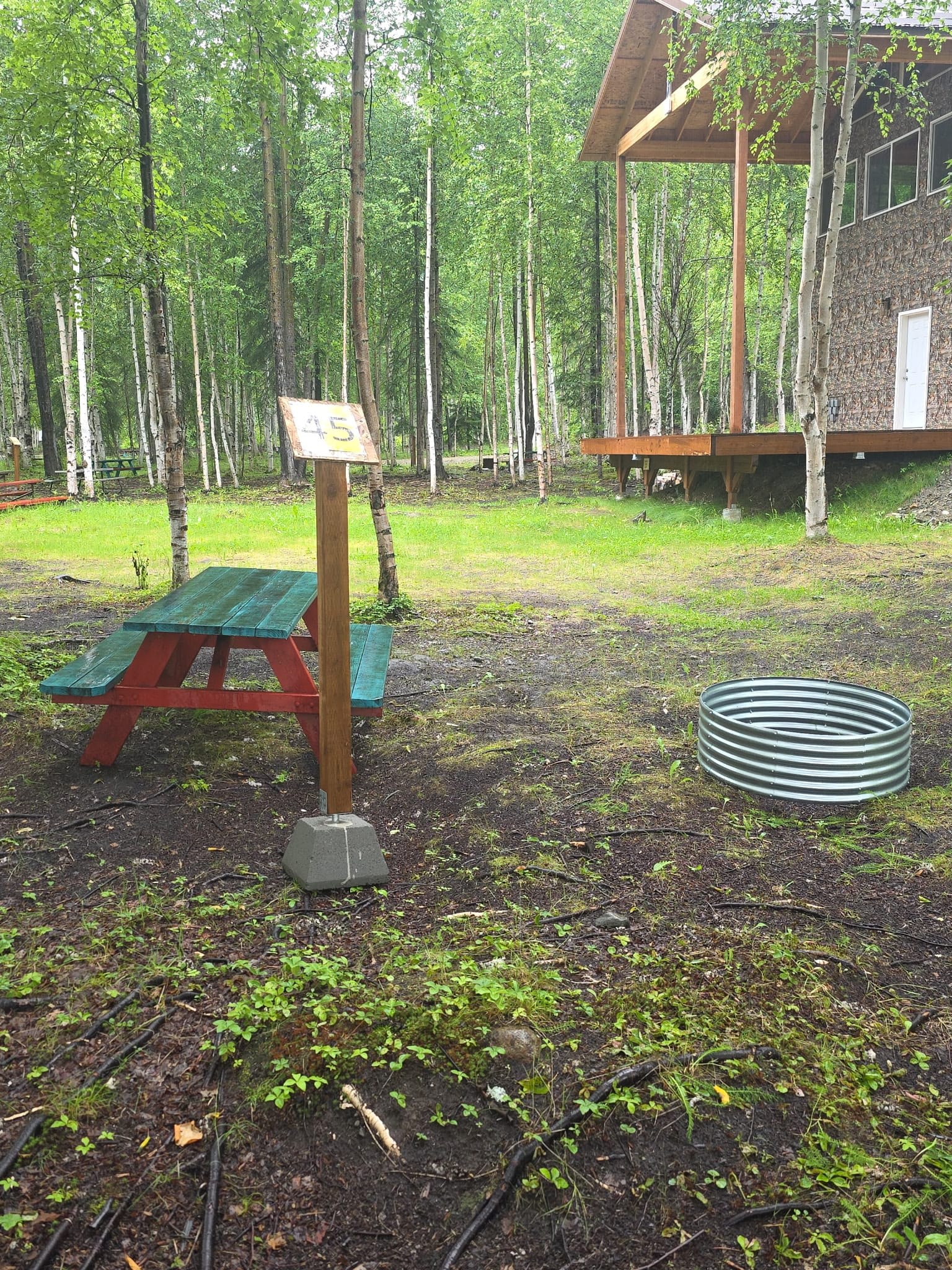Picture of the site