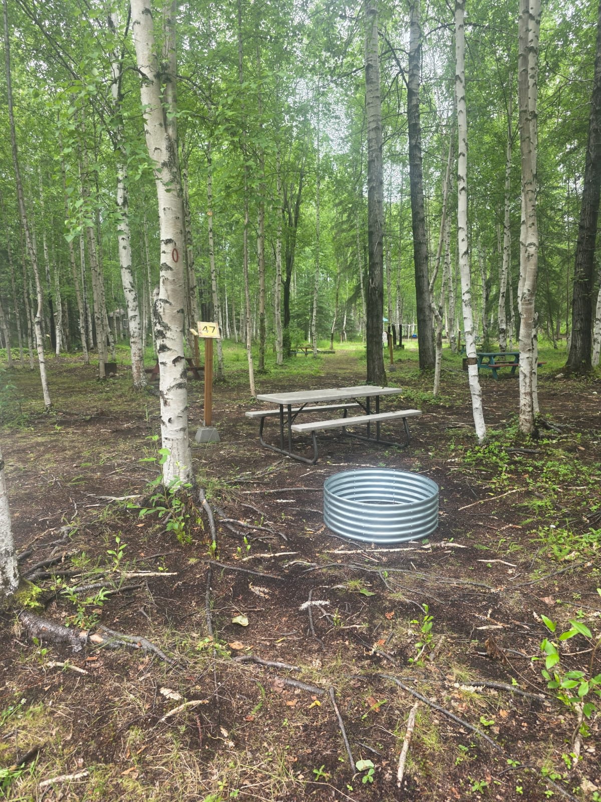 Picture of the site