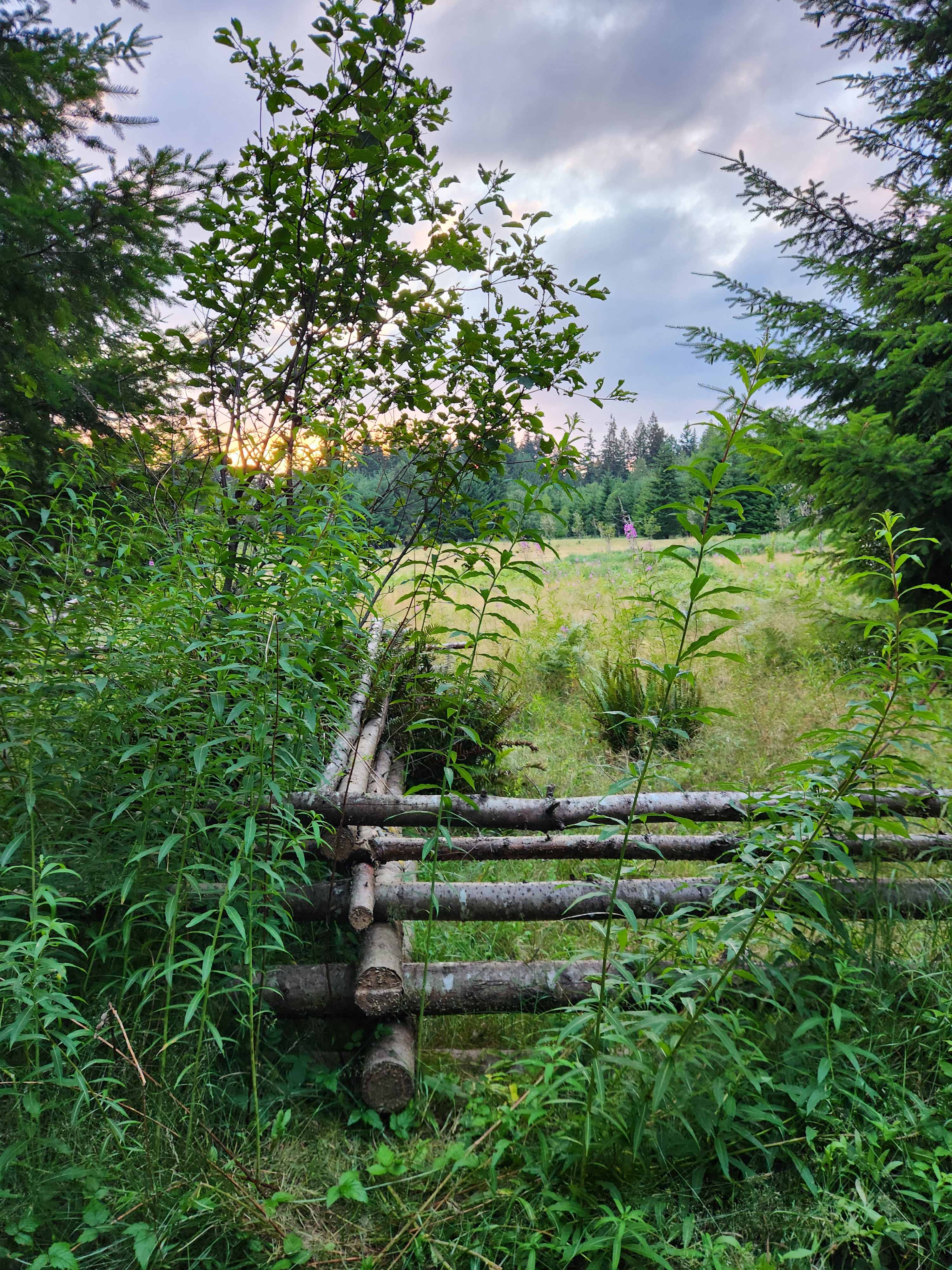 Retreat to the Farest
