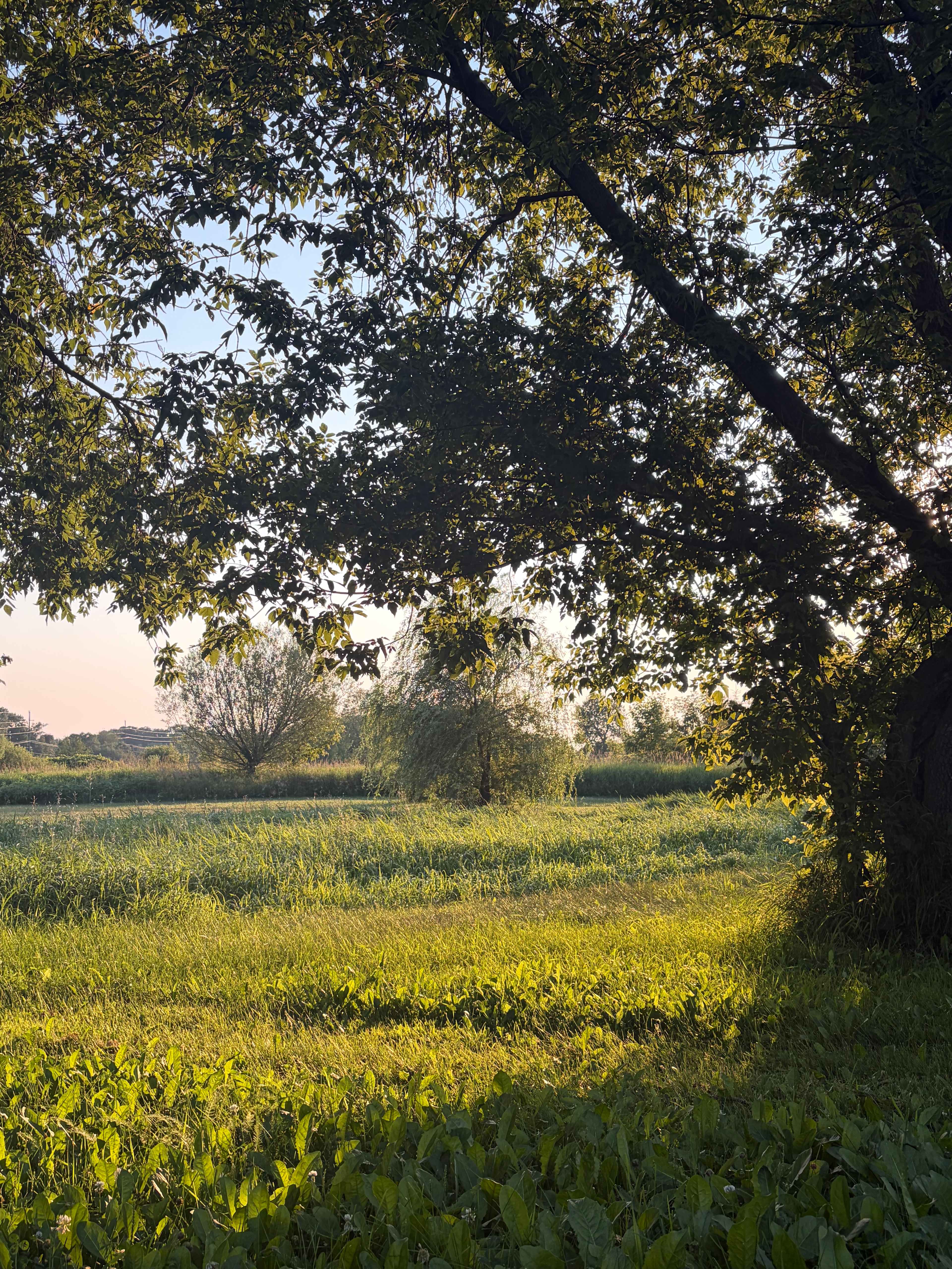 Beautiful farm!