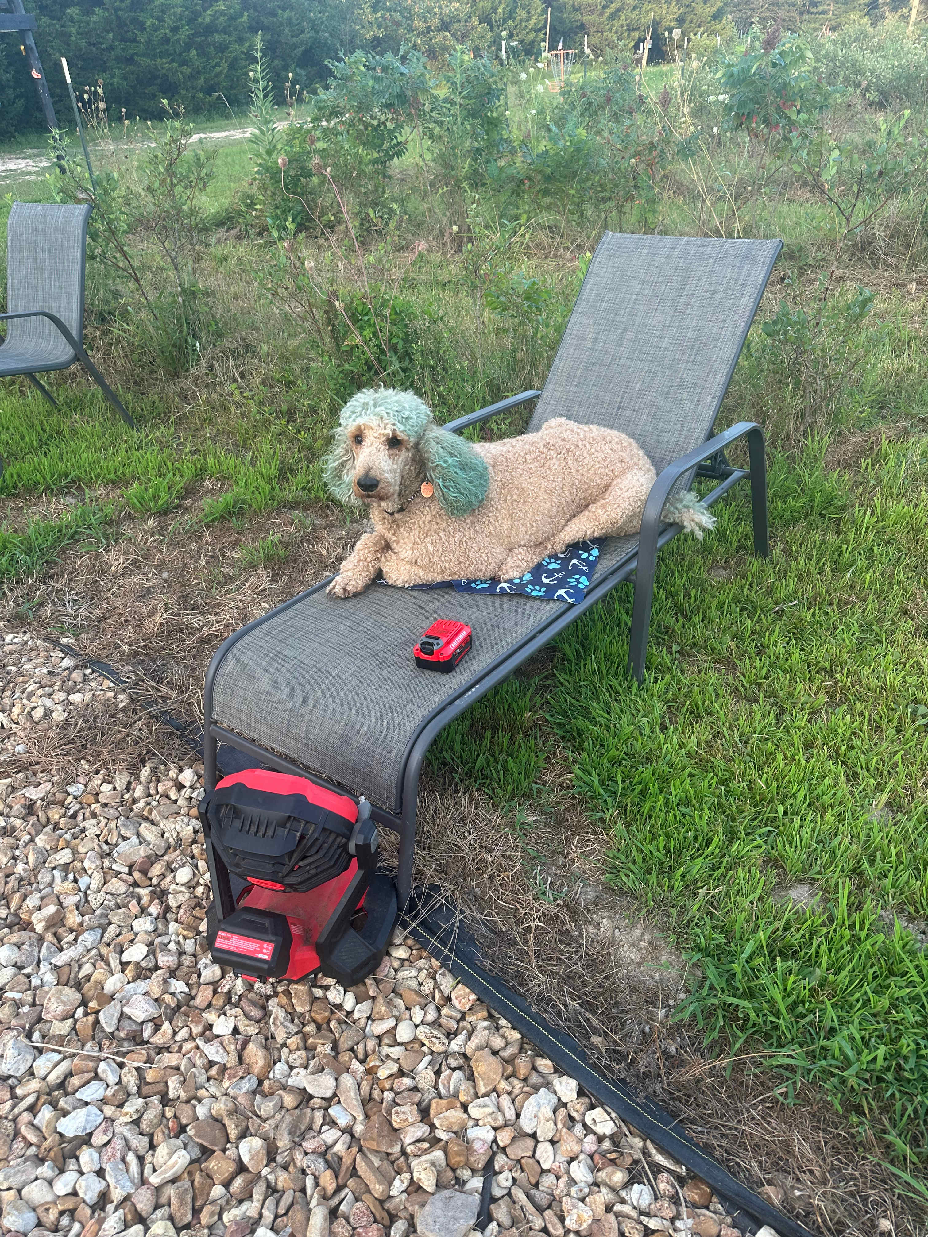 Loved relaxing by the swimming hole! 