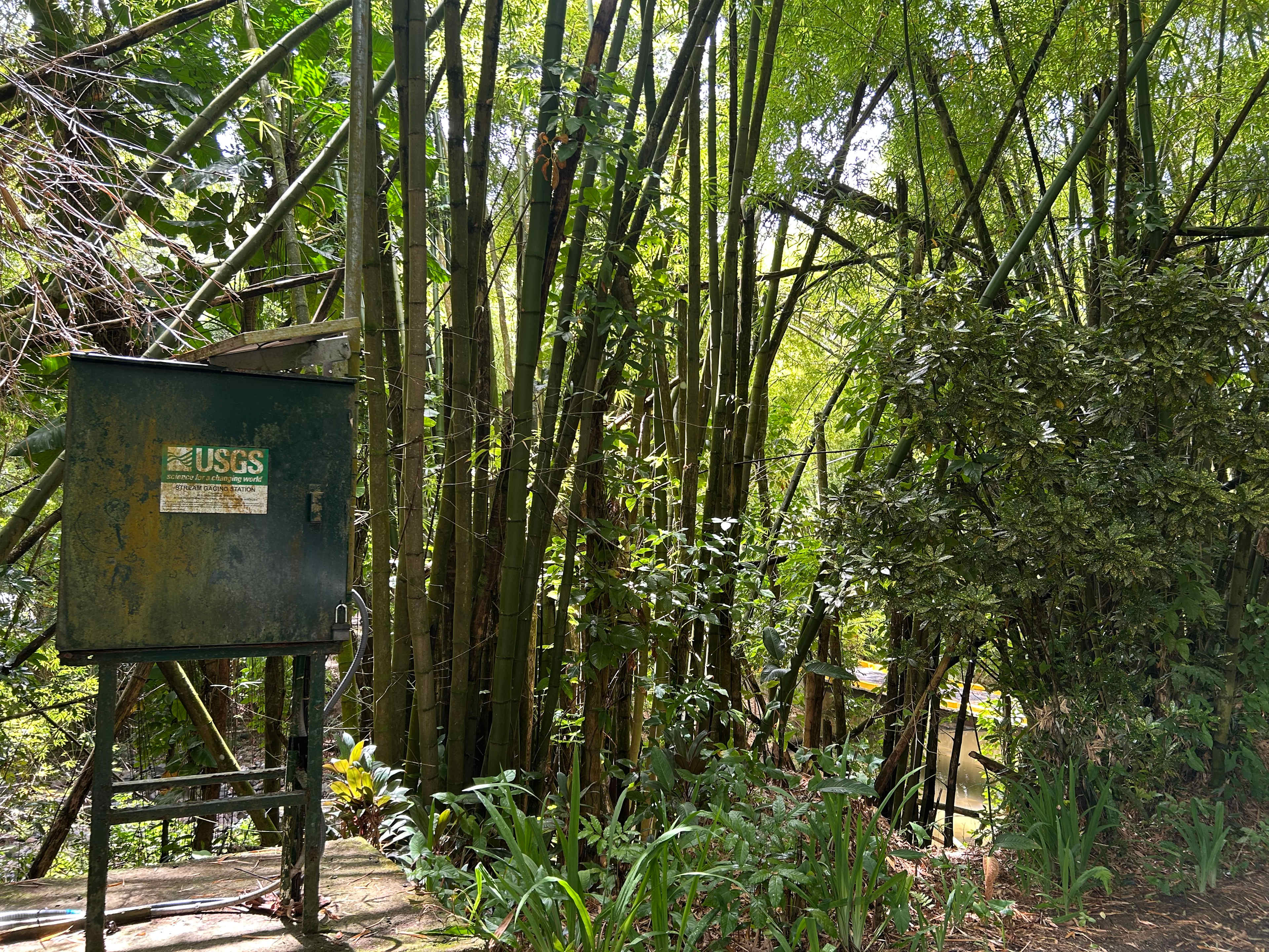 Hacienda Monte Rey near El Yunque