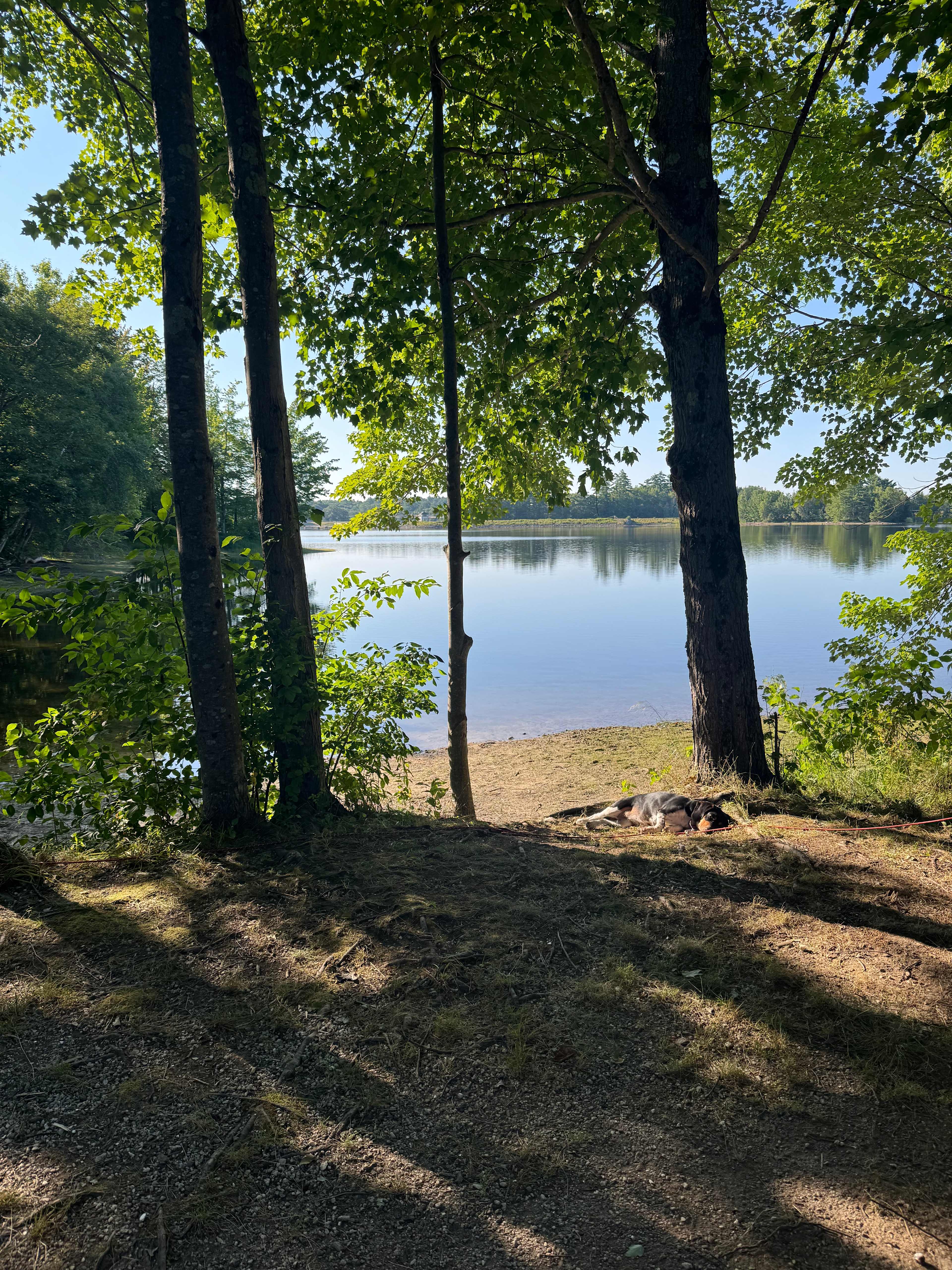 Waters Edge @ Eweturnfarm