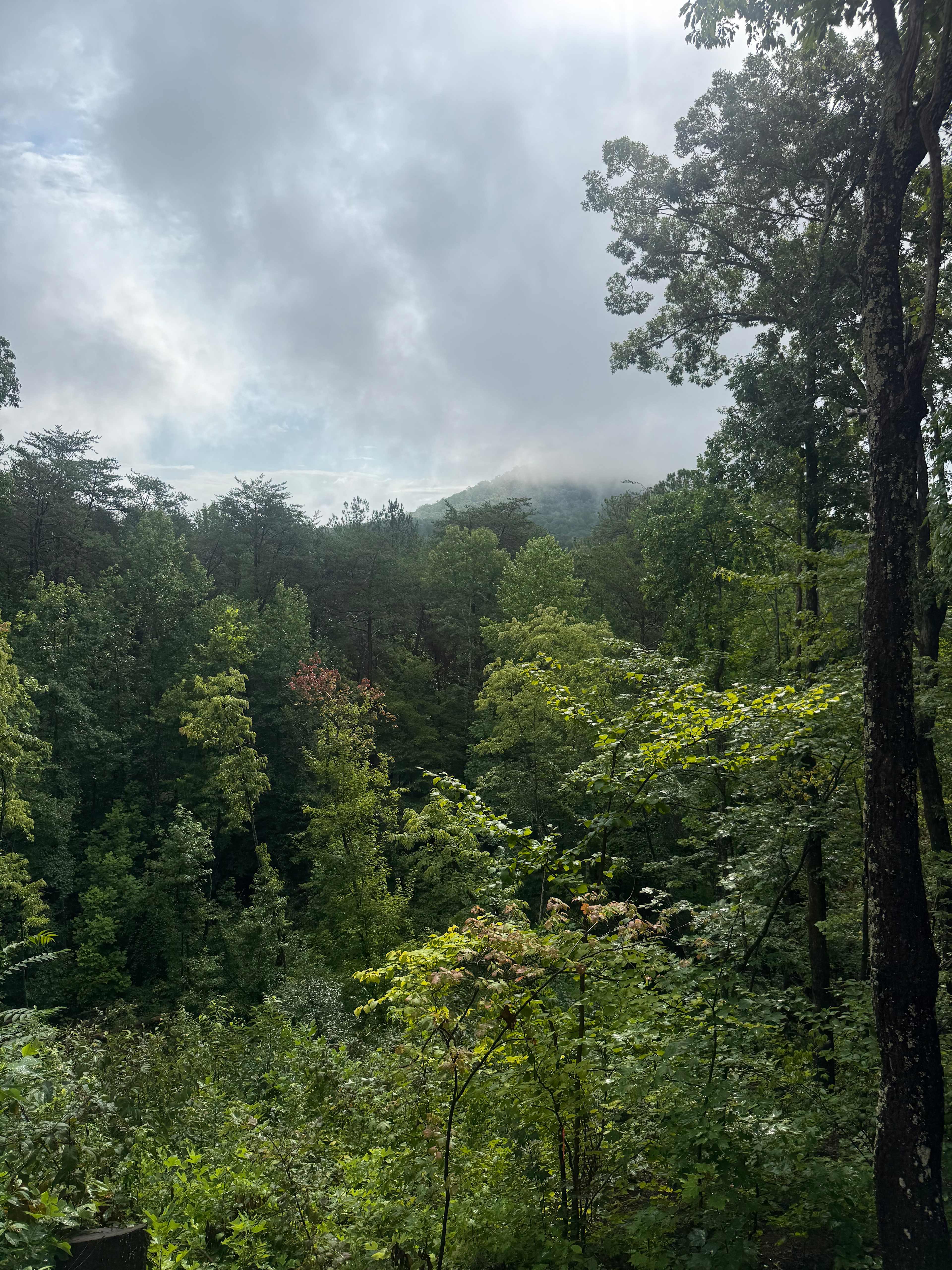 Rocky Top