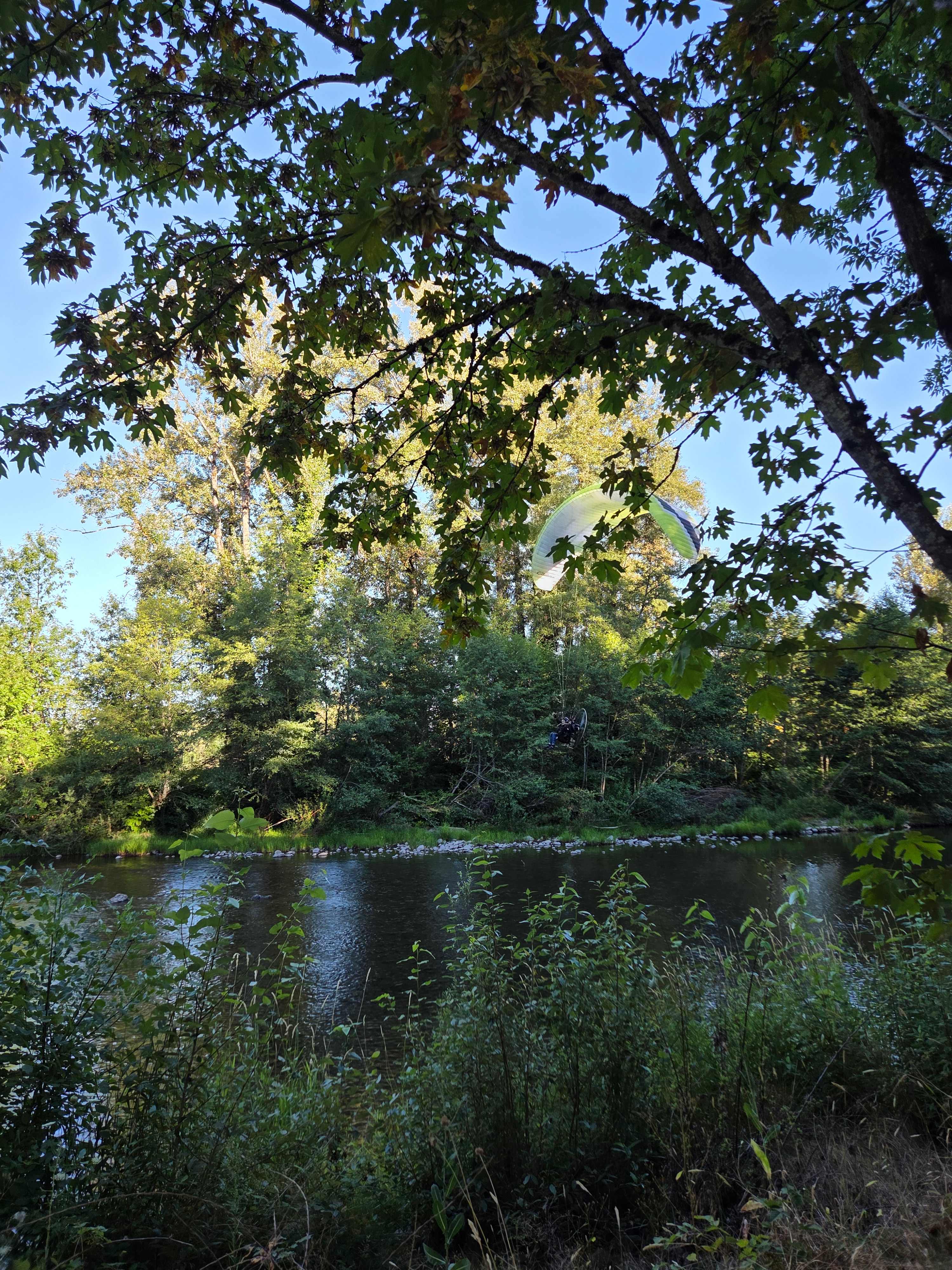 Molalla Ripple