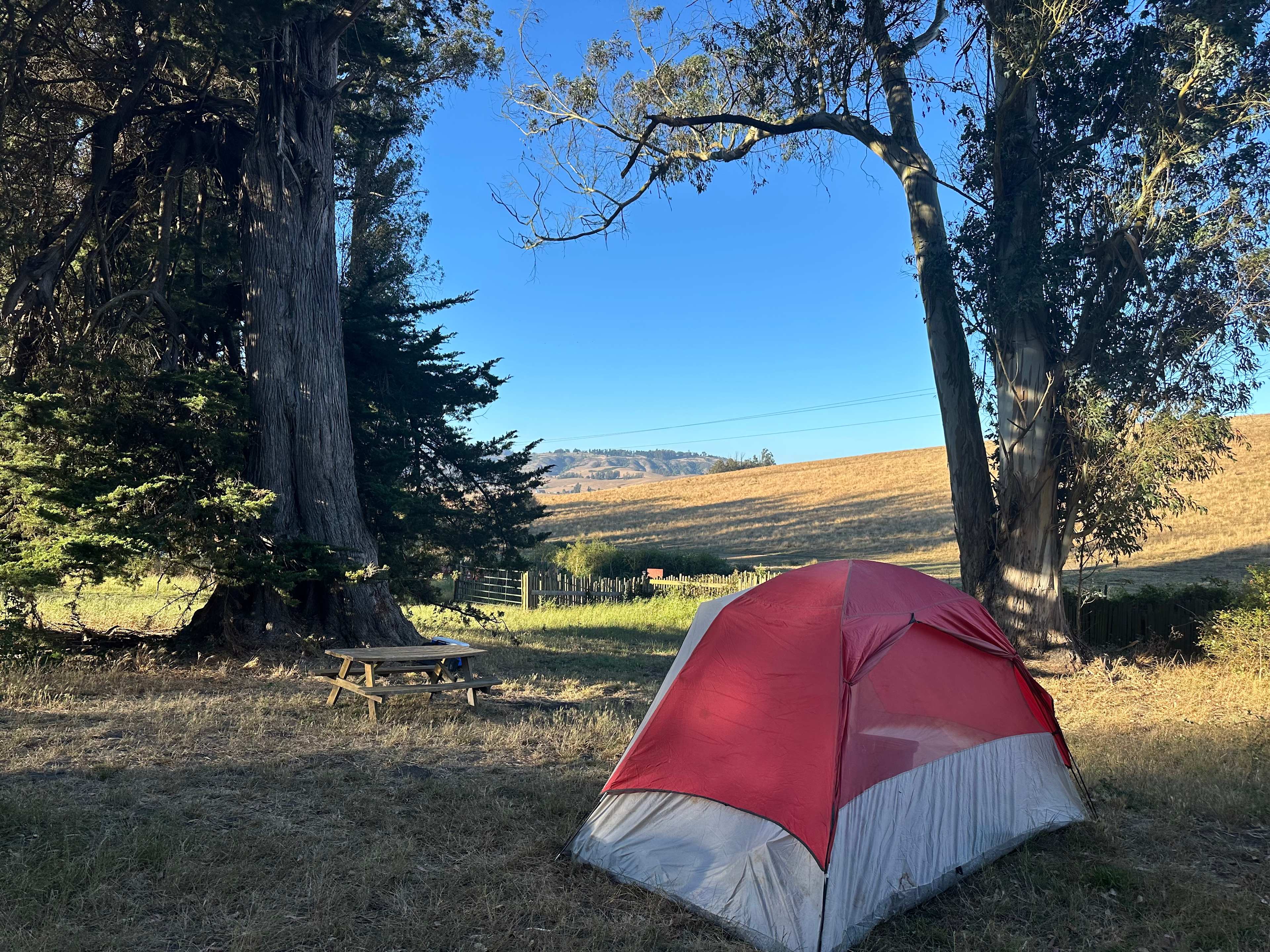 Site 2