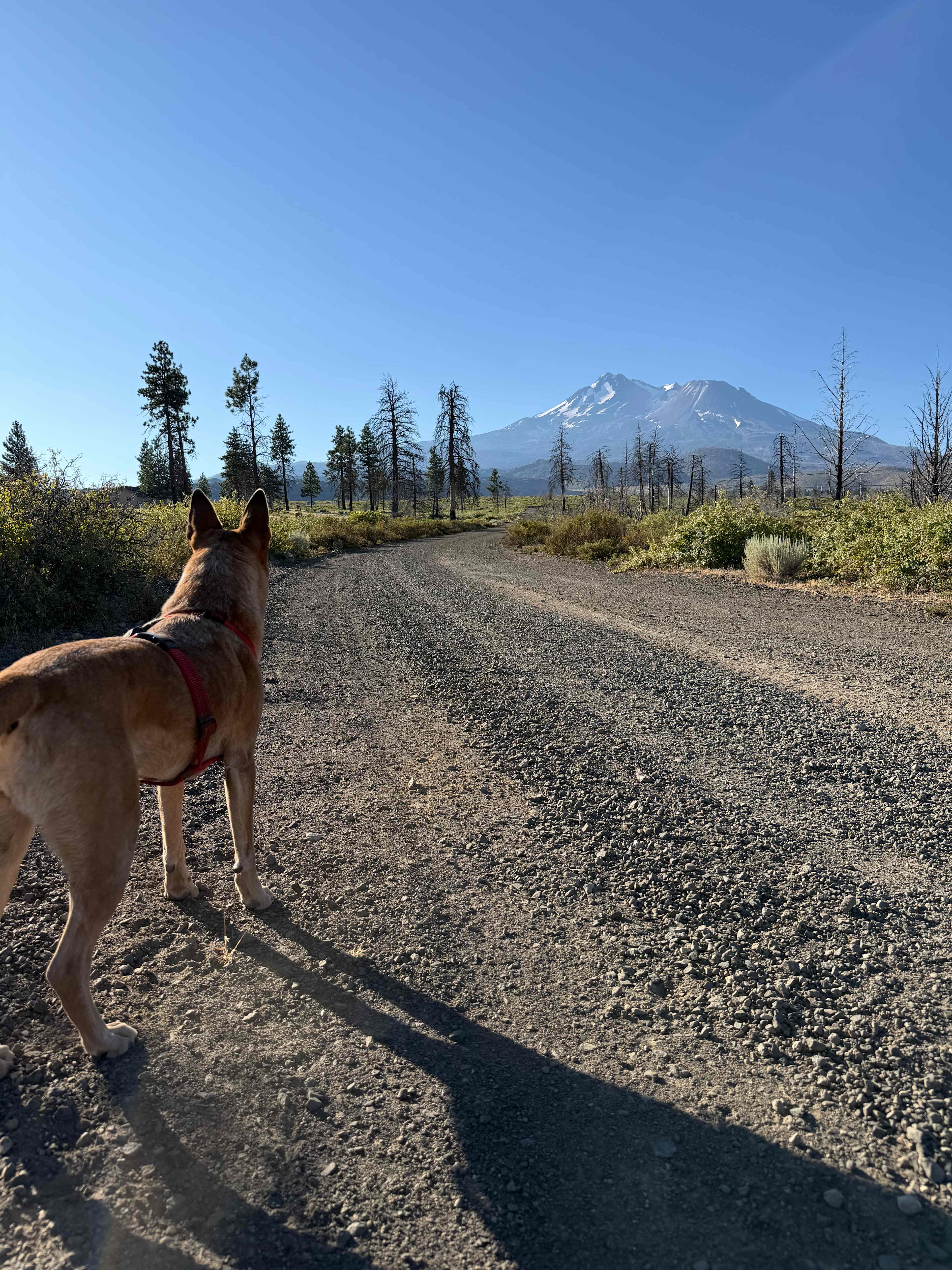 Juniper Valley Campsites