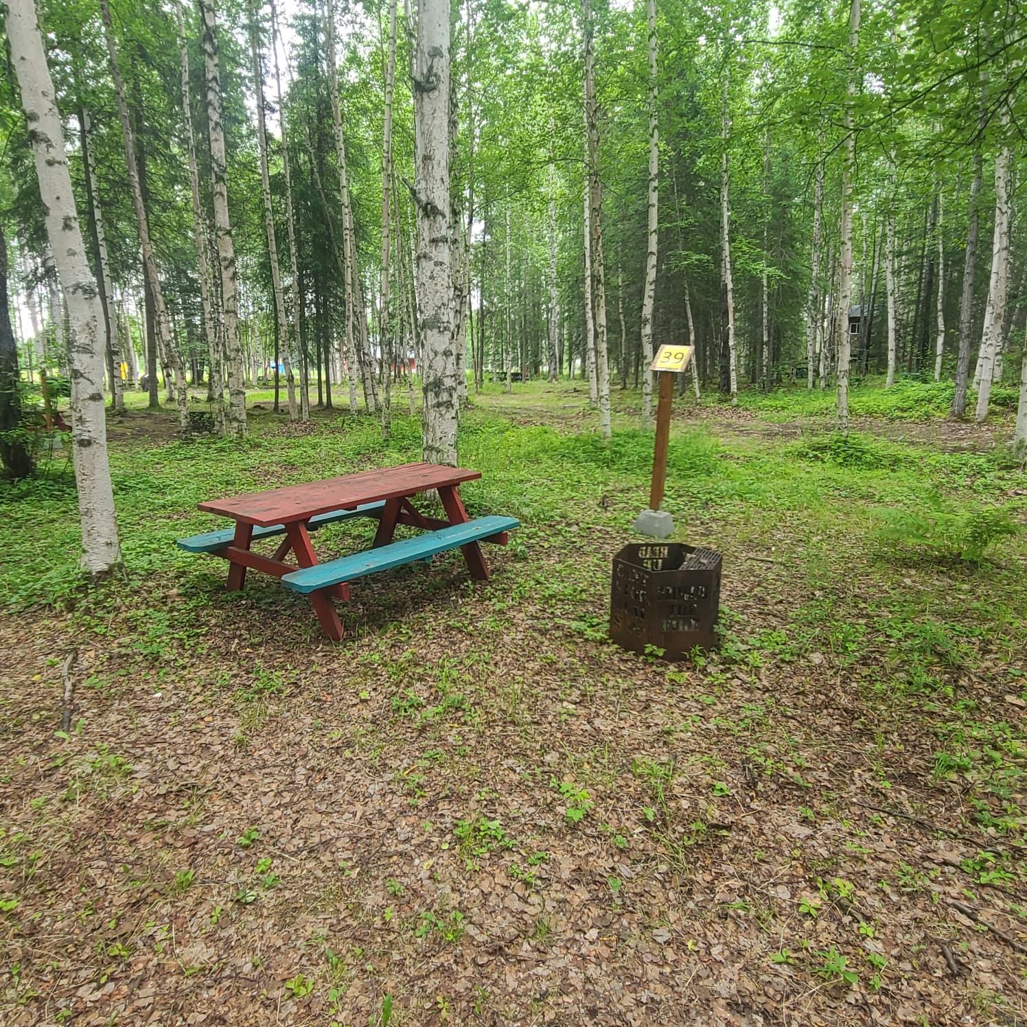 Picture of the site