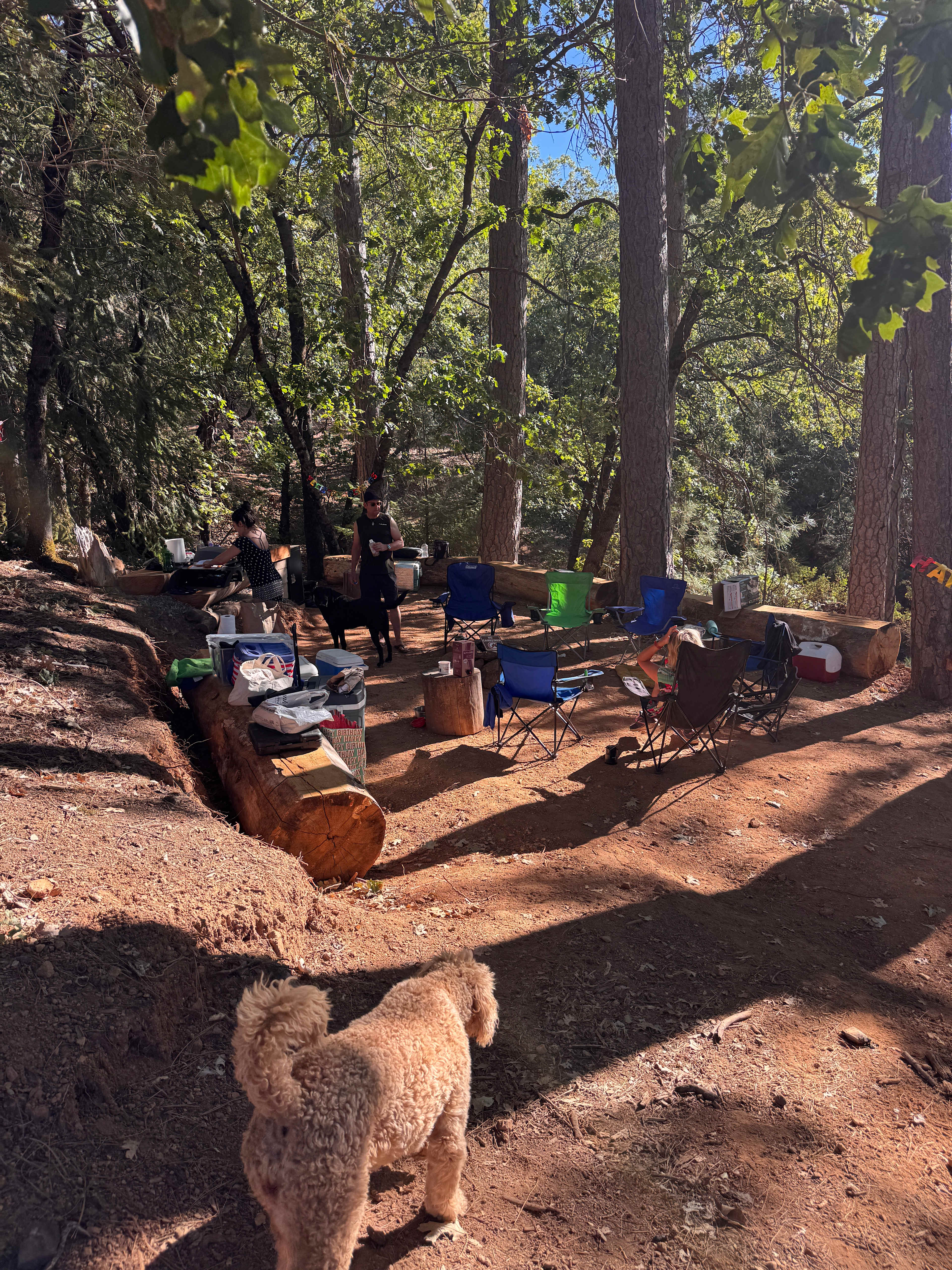 Picture of the site