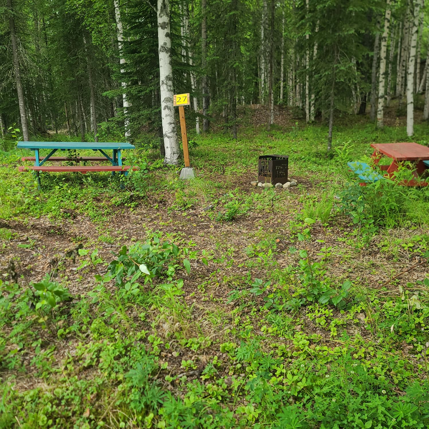 Picture of the site