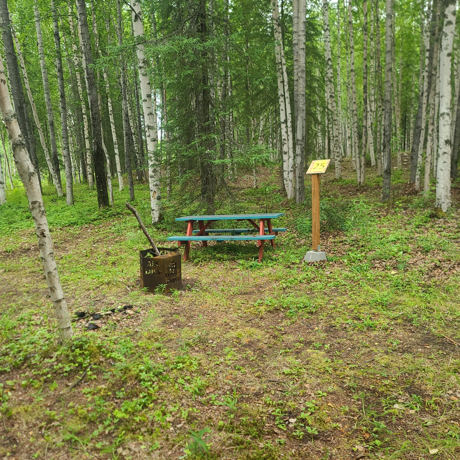 Picture of the site