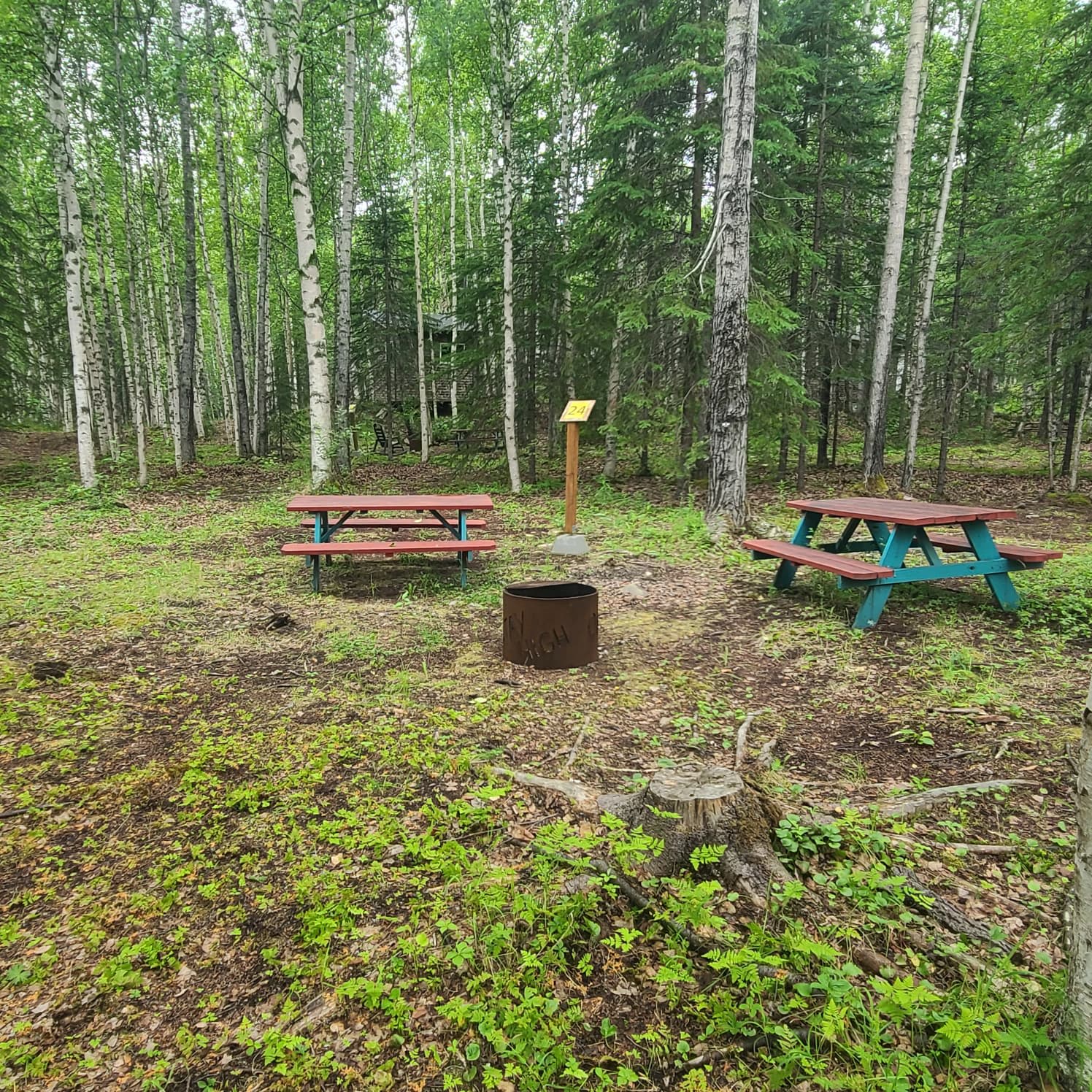 Picture of the site