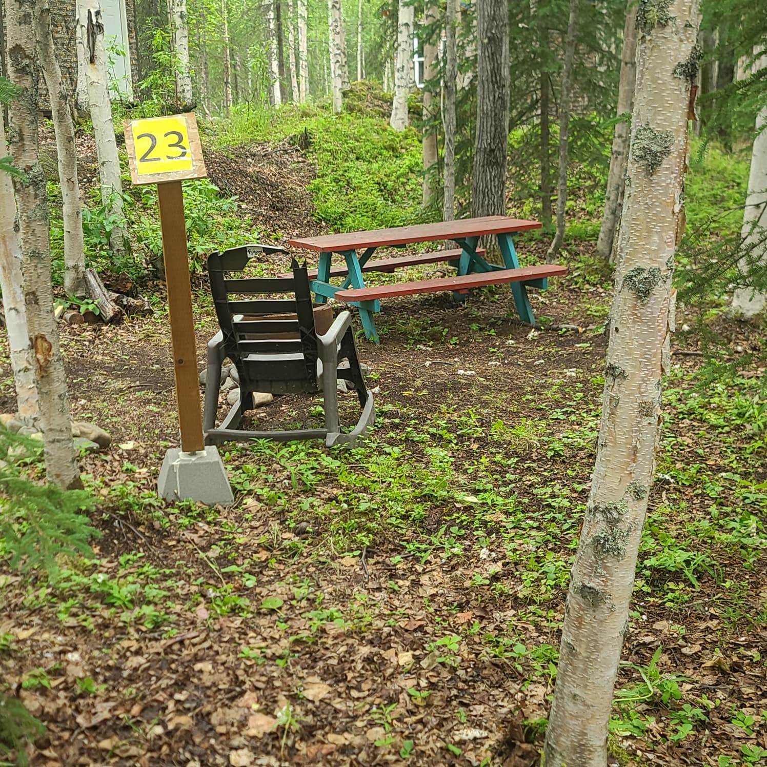 Picture of the site