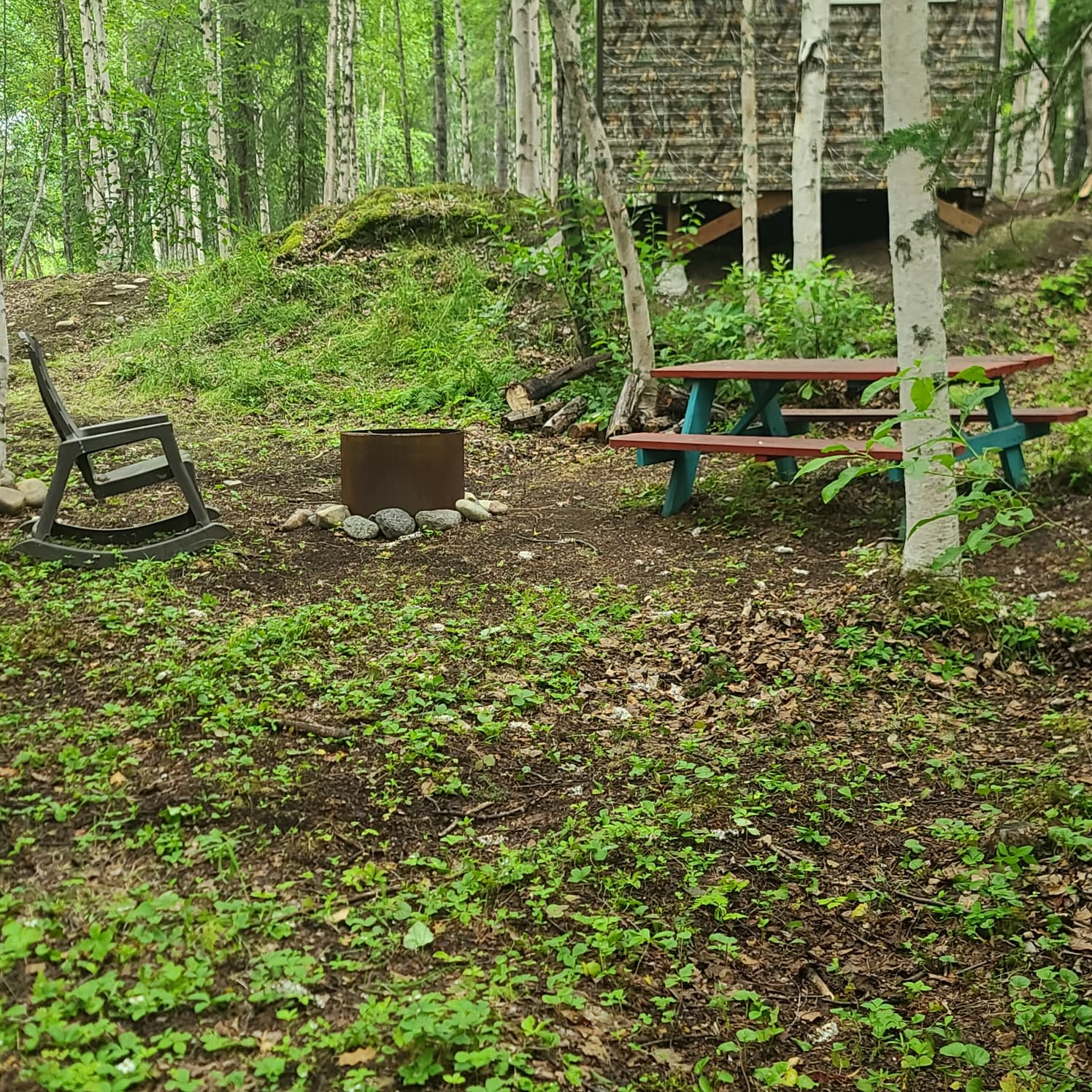 Picture of the site