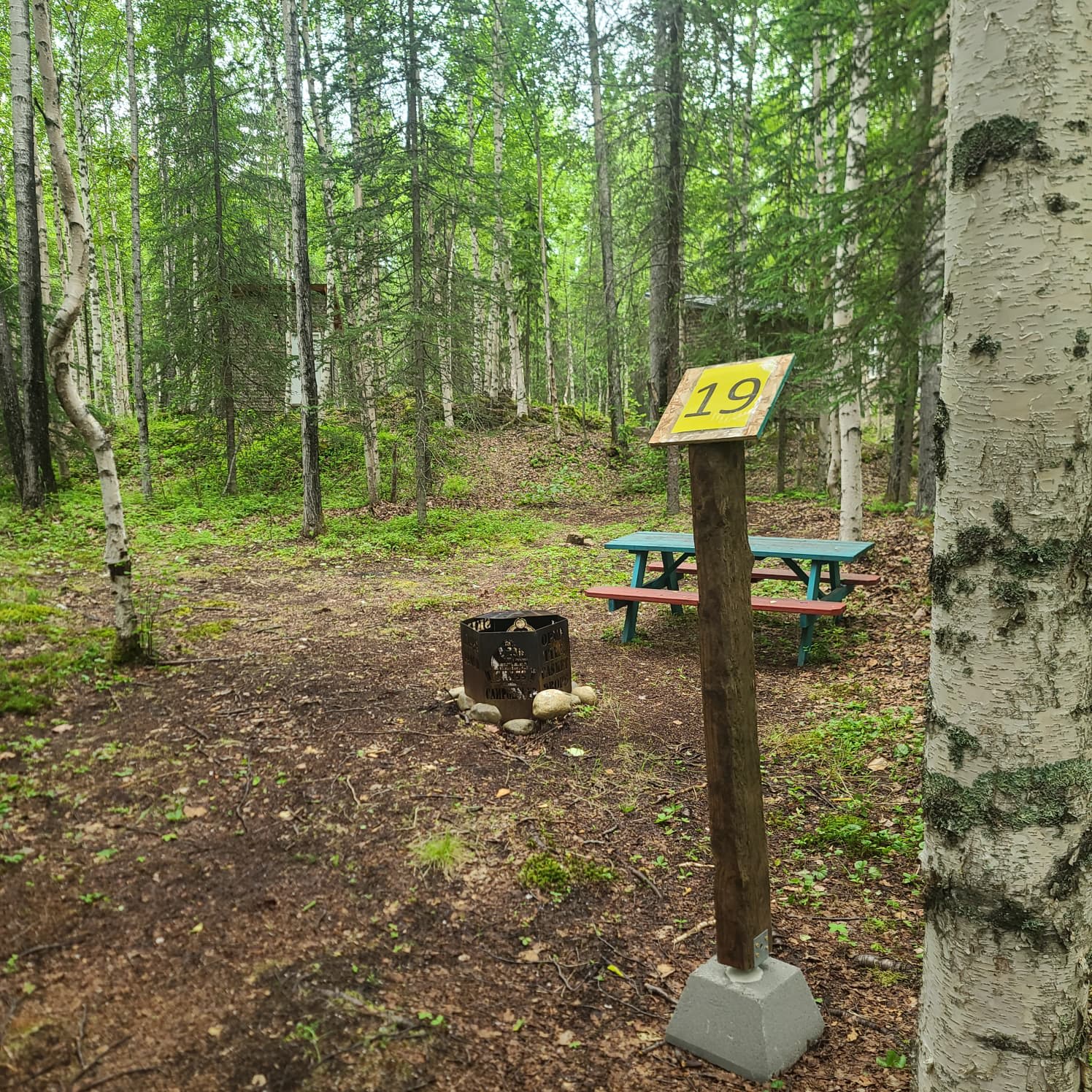 Picture of the site