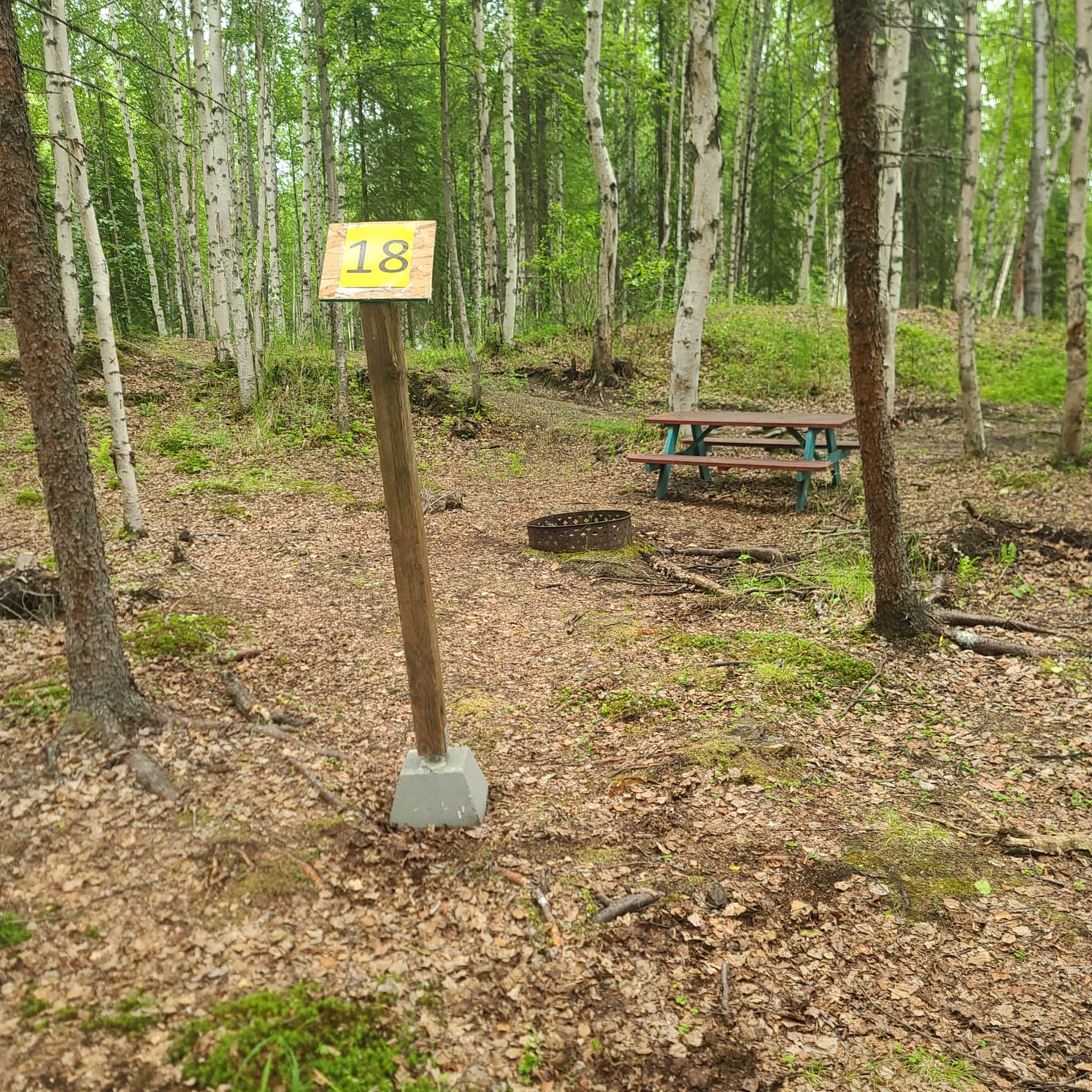 Picture of the site