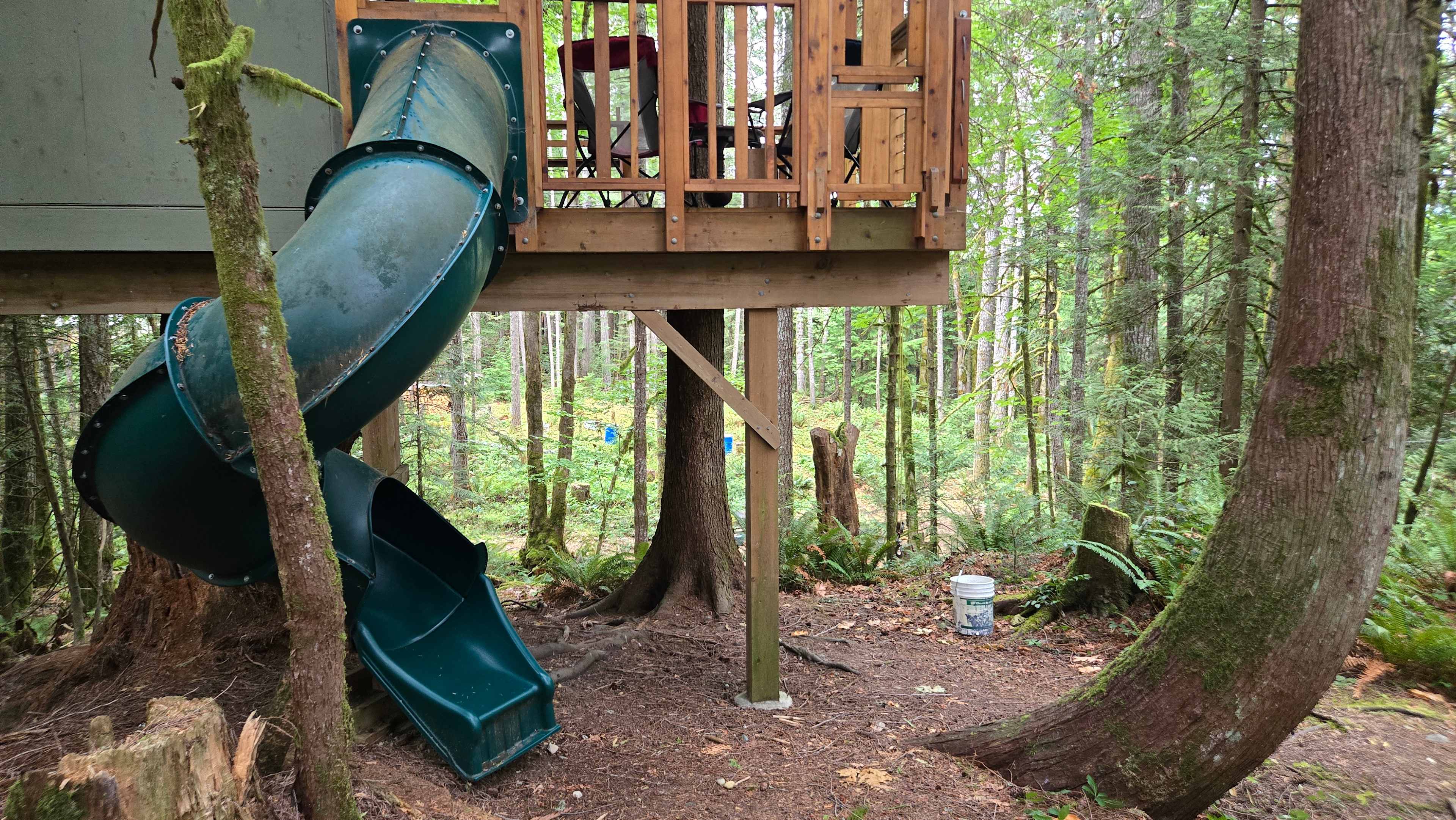 Forest Hideaway