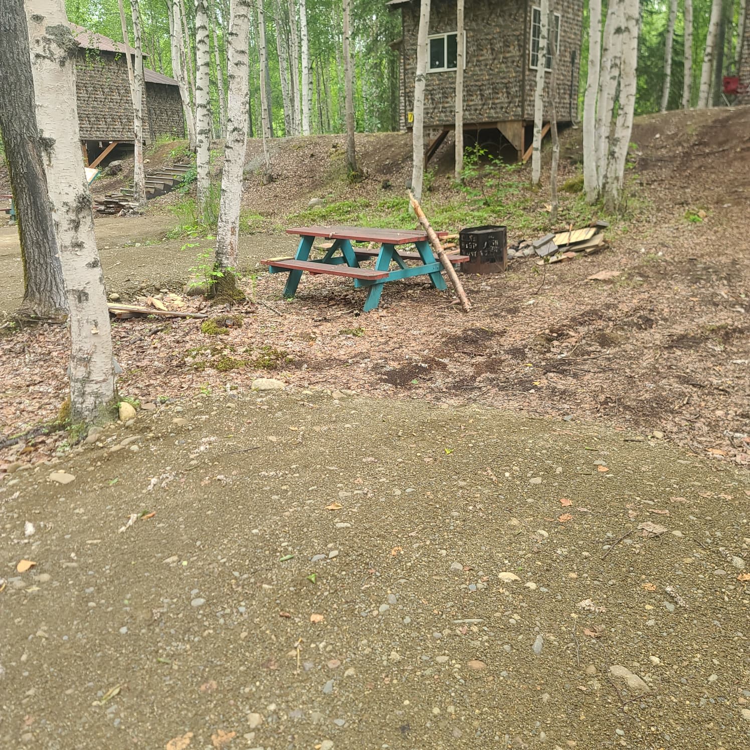 Picture of the site