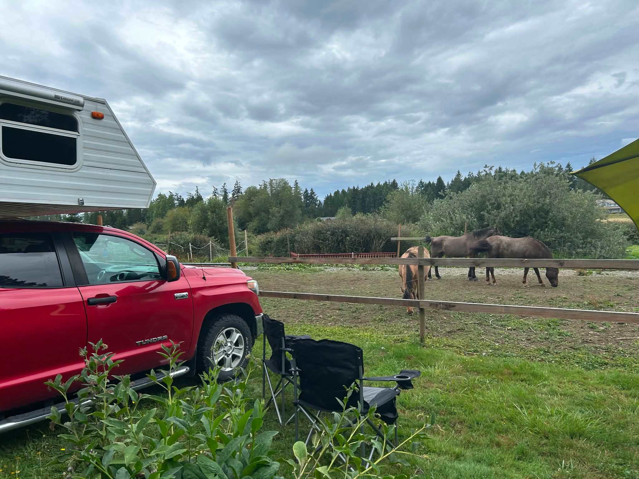 Murphy’s Farm
