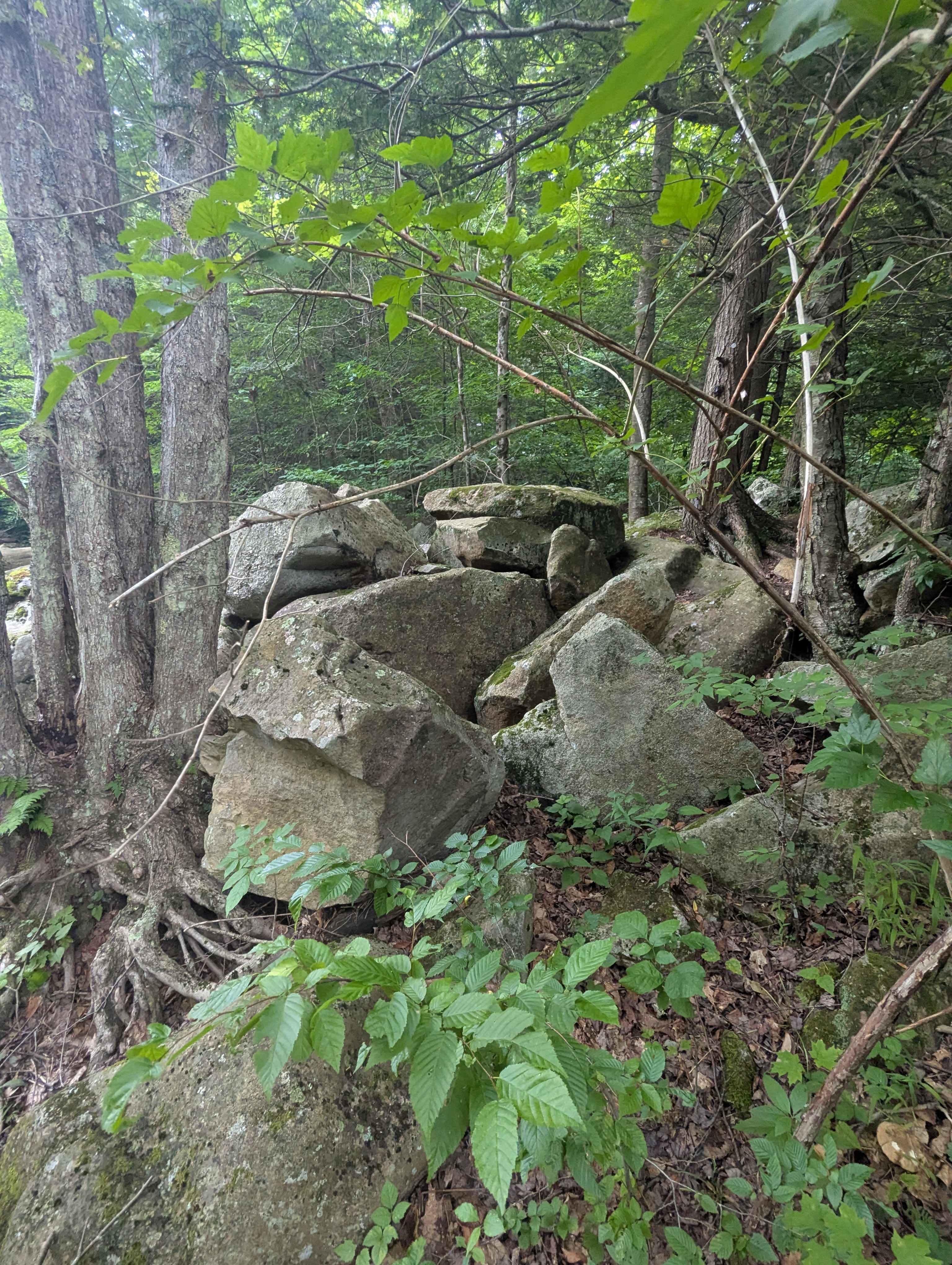 Abrams Creek Campground/Retreat