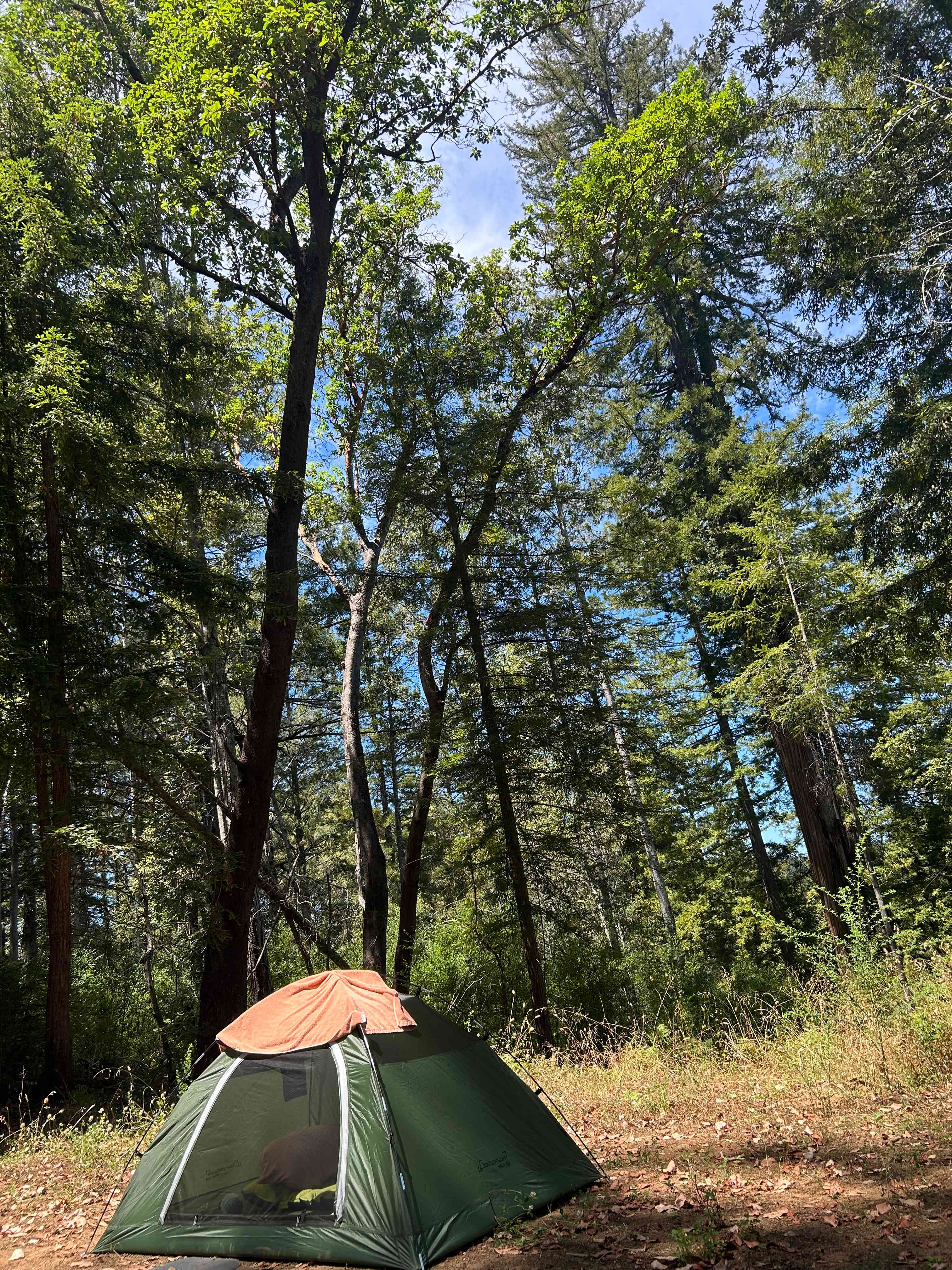 BANKS RANCH IN THE REDWOODS