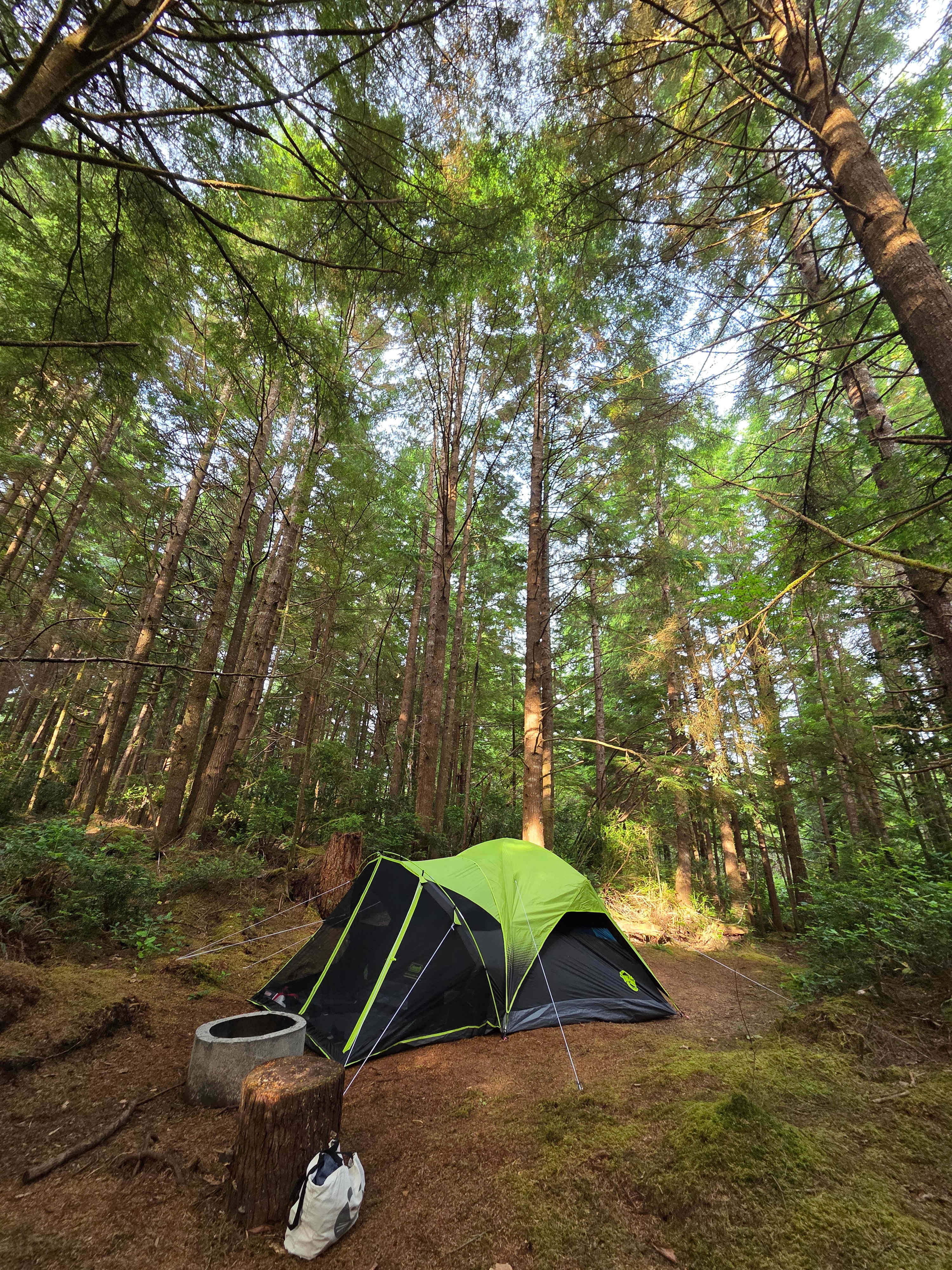 Trip Camp- Secluded Forest by Beach