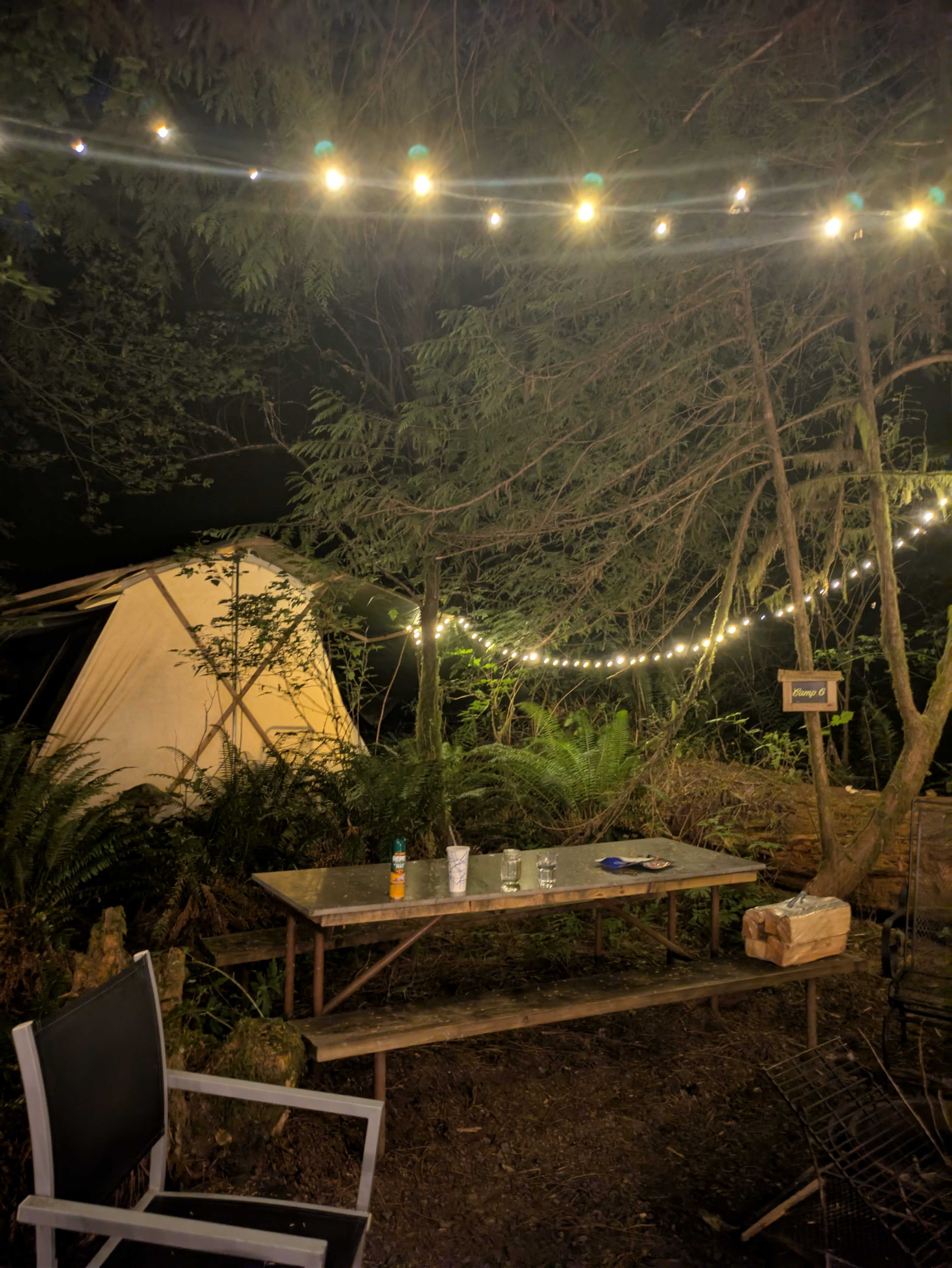 Loved our cozy campsite