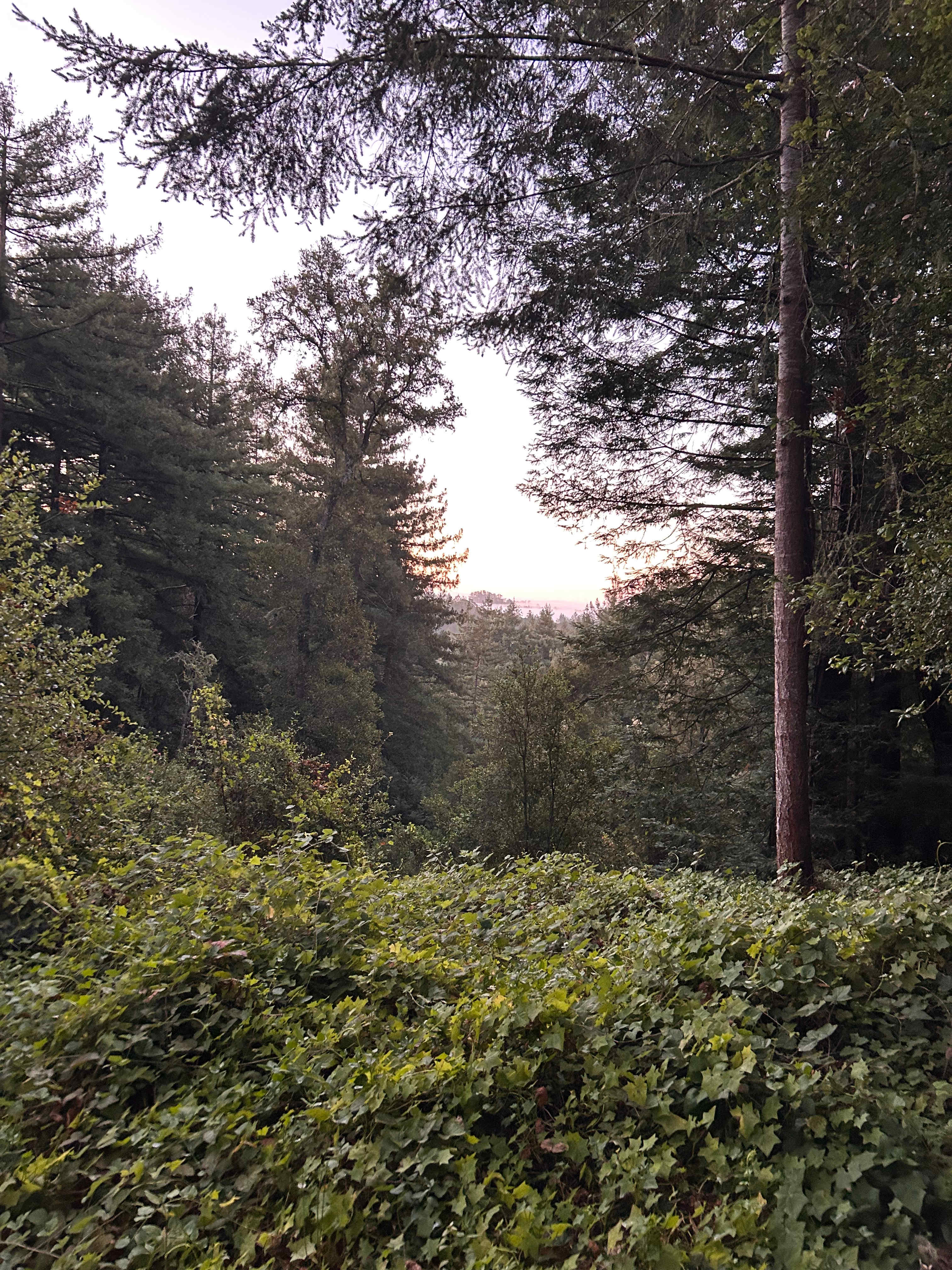 Fern Ridge Flats - Private Camping
