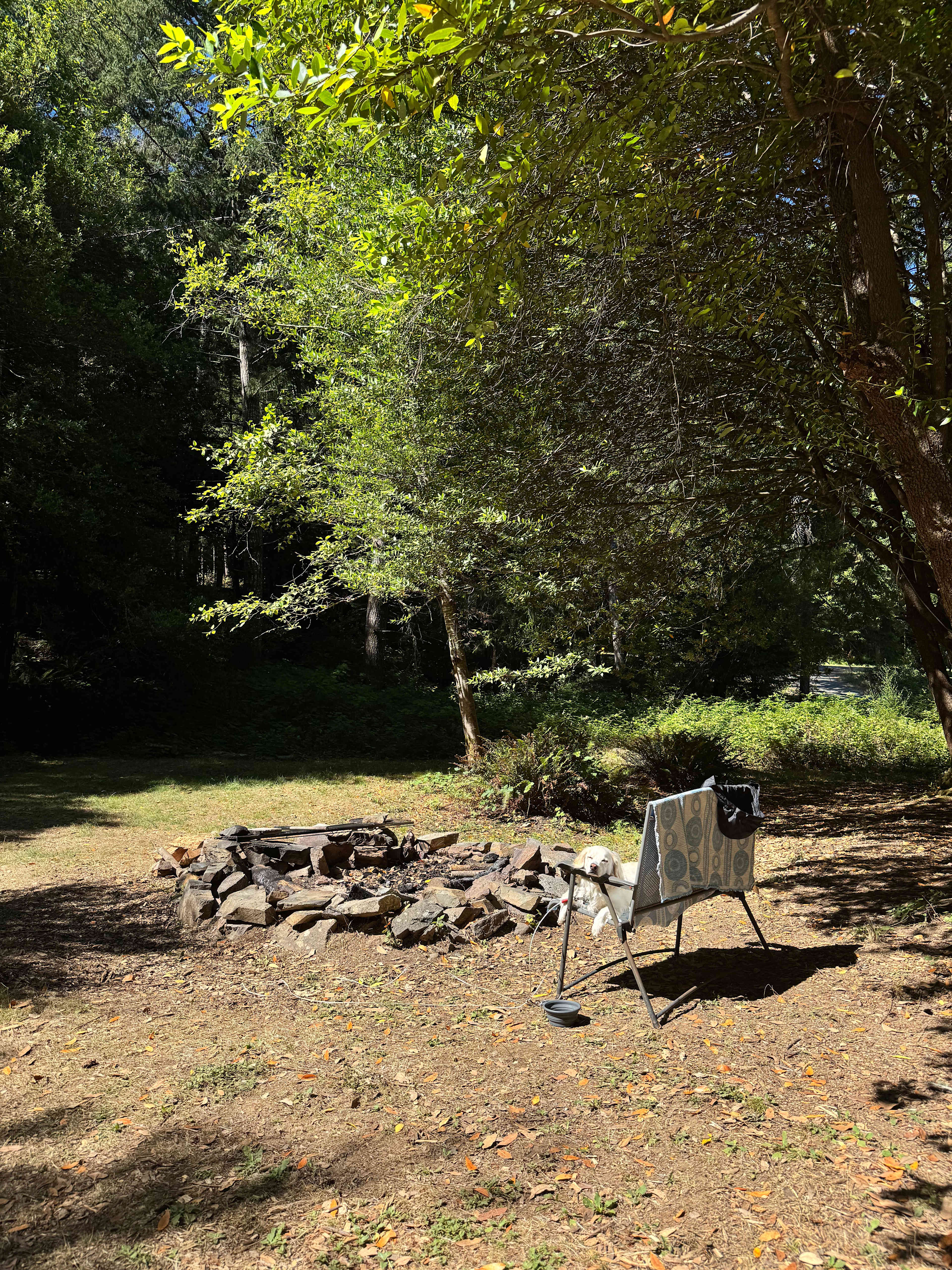 South Fork Road Camp Cedar