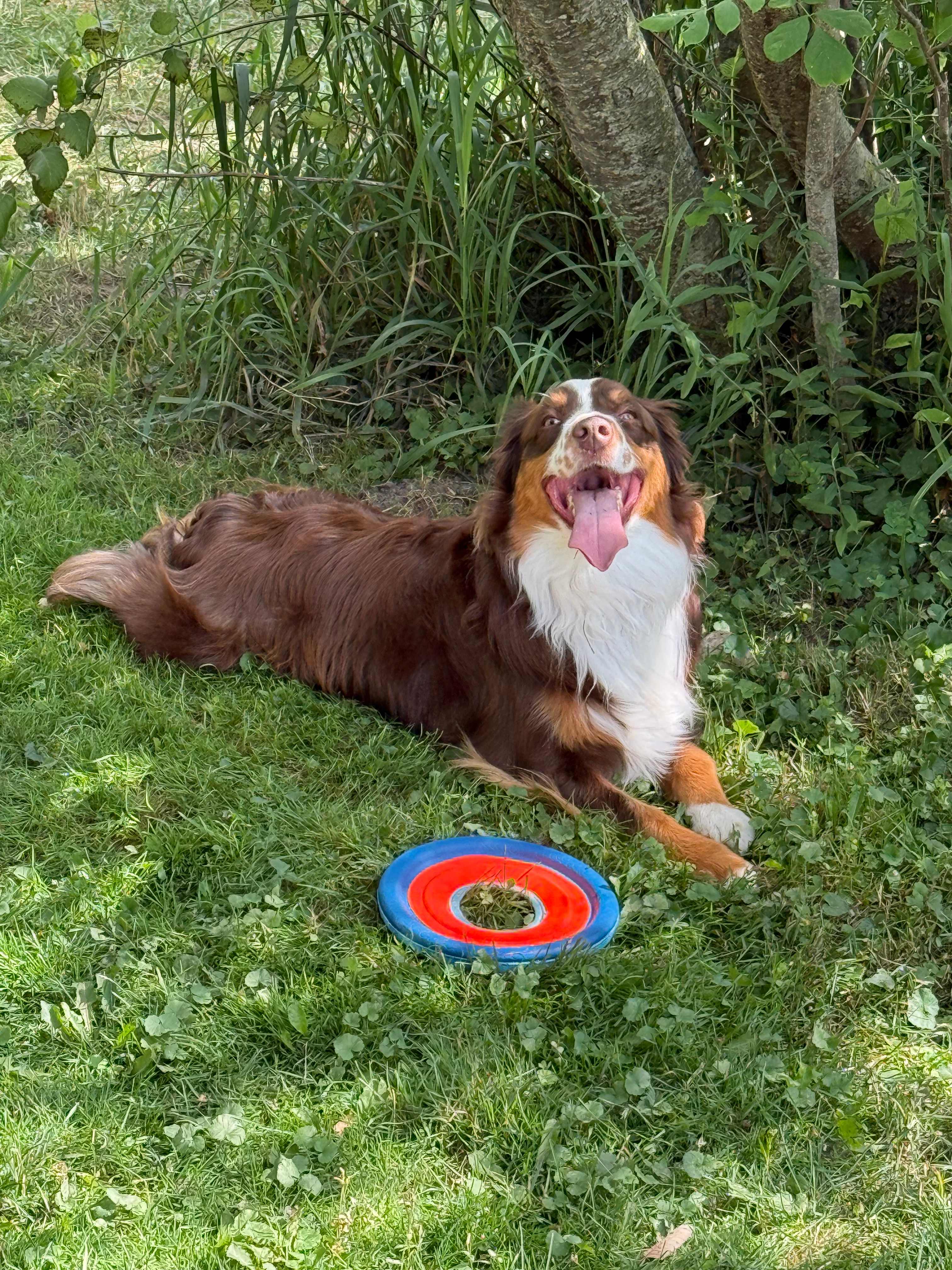 One happy pup!